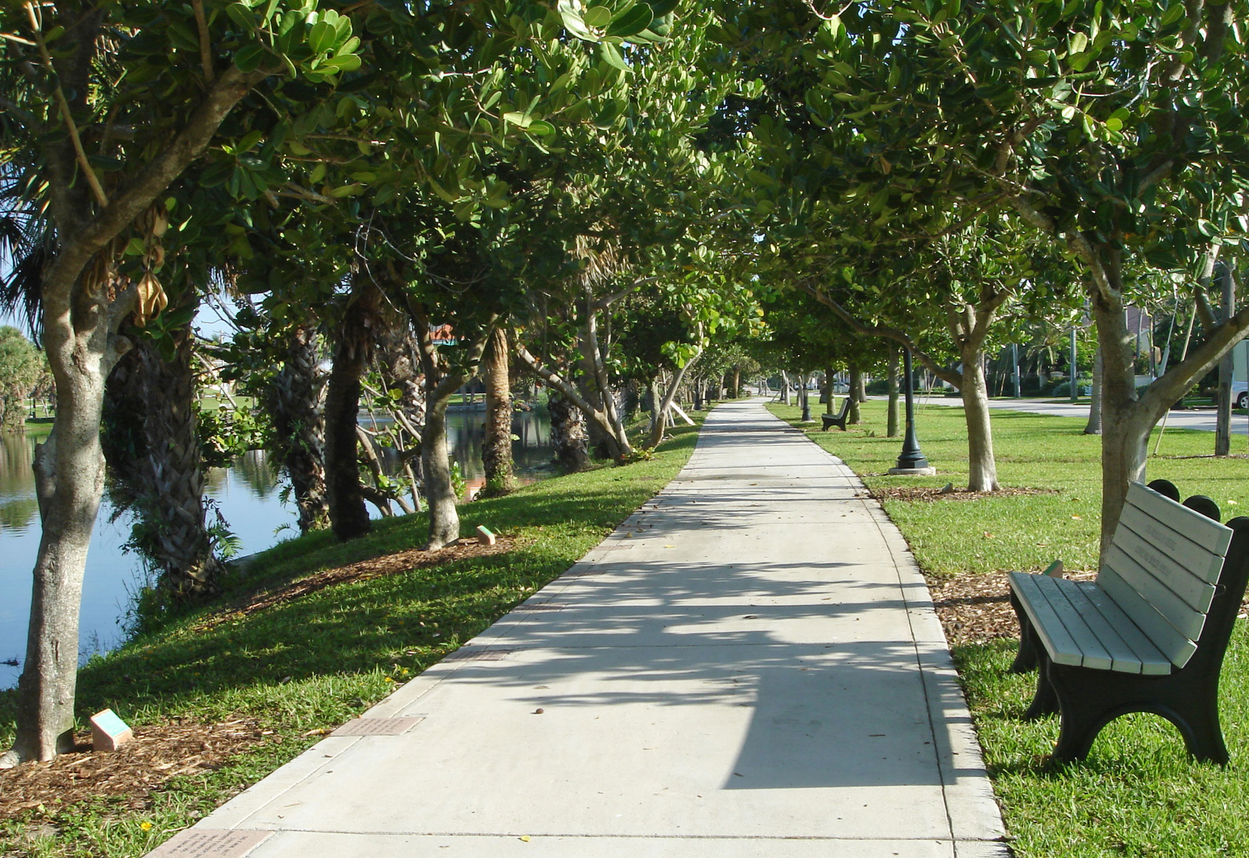 Pelican Lake Park Juno Beach Florida Path and Bench.jpg