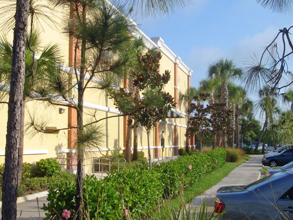 Publix Chasewood Plaza Jupiter Florida Side Landscaping.jpg