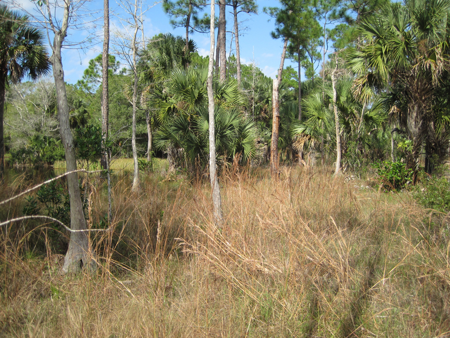 Riverbend Park Palm Beach County Florida.jpg