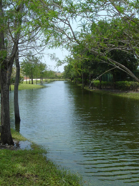 The Home Depot Jupiter Planted Retention Area.jpg