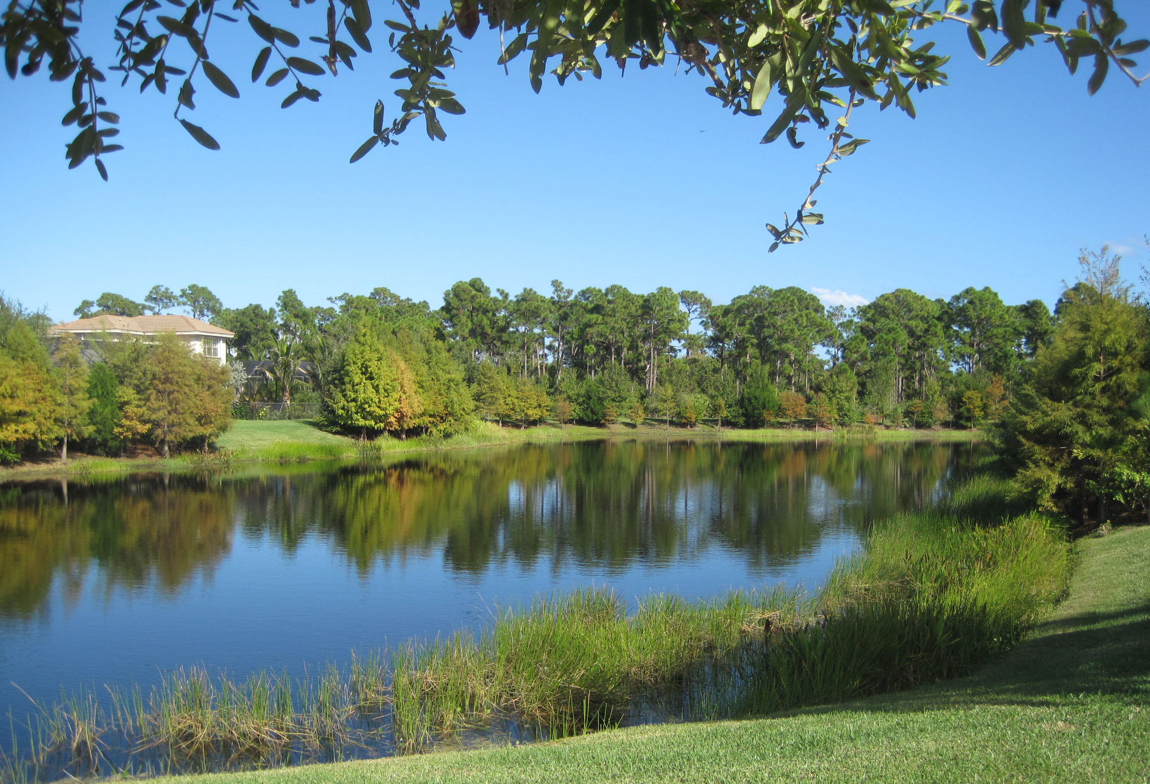 Paseos Residential Community Jupiter Florida.jpg