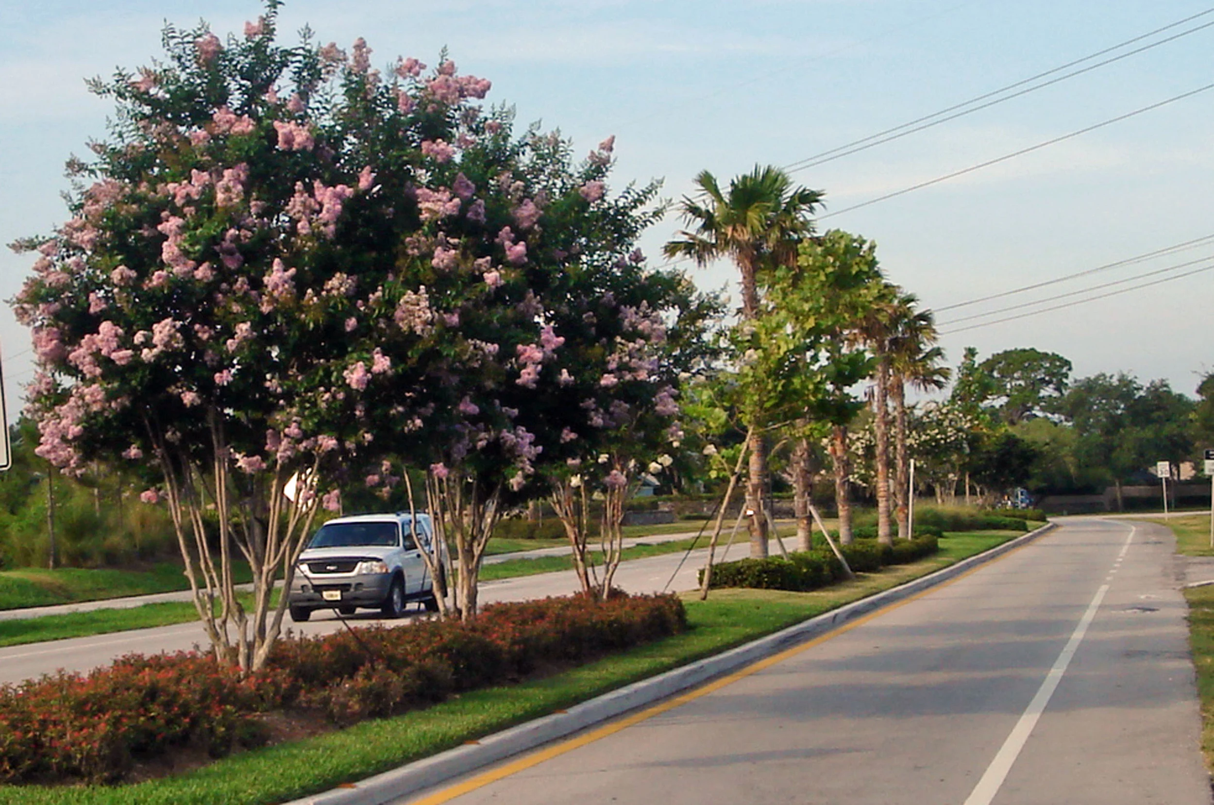 toney penna drive gentile glas holloway omahoney associates median design