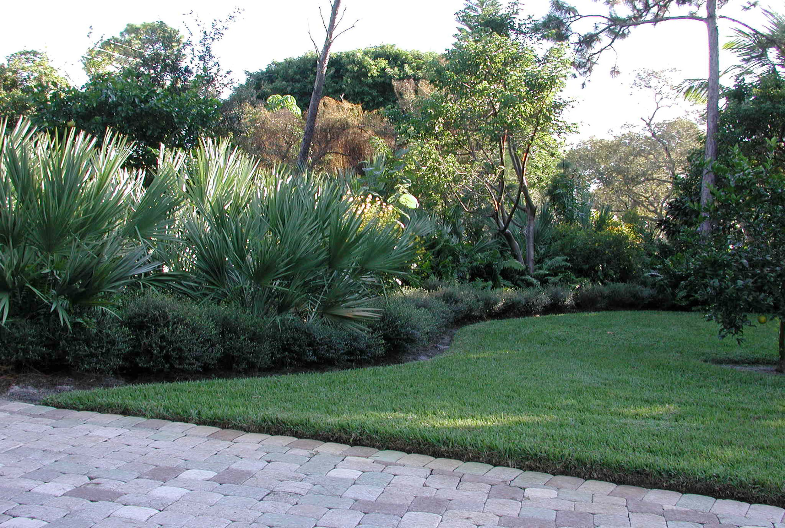 Loxahatchee River Residence Landscape Design.jpg