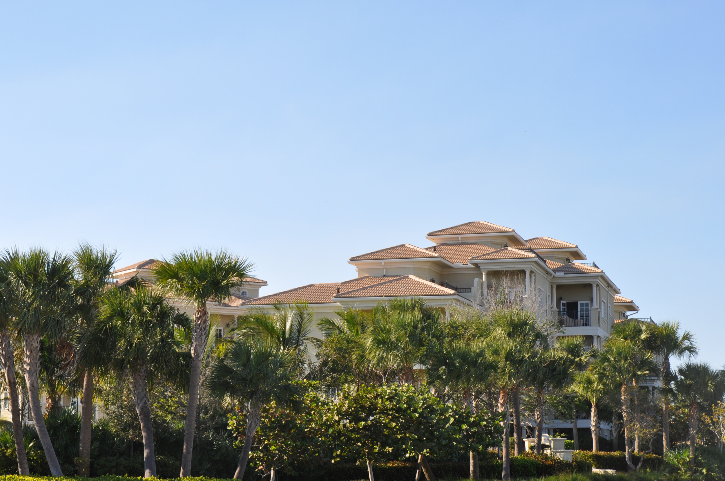 Tierra Del Sol Jupiter Florida Townhomes Screened by Native Florida Buffer.JPG