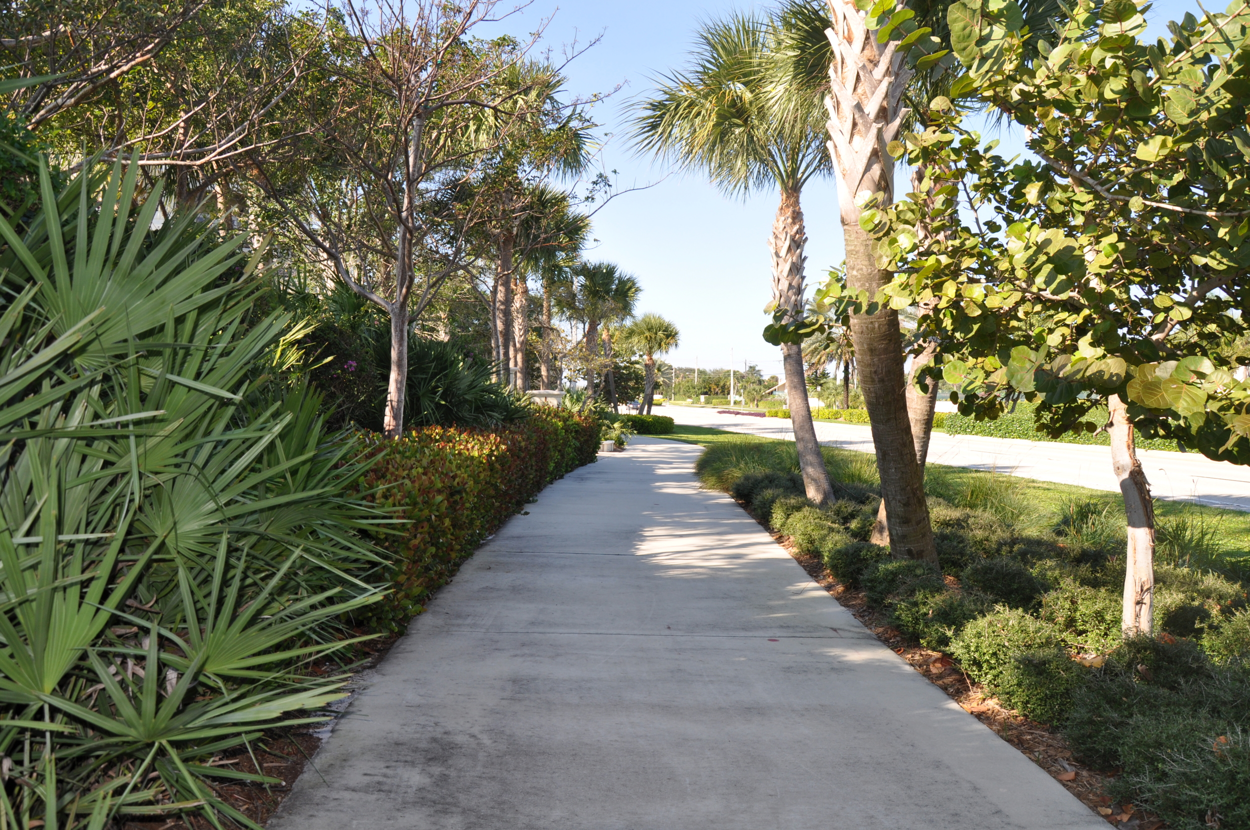 Tierra Del Sol Jupiter Florida Native Buffer Landscape.JPG