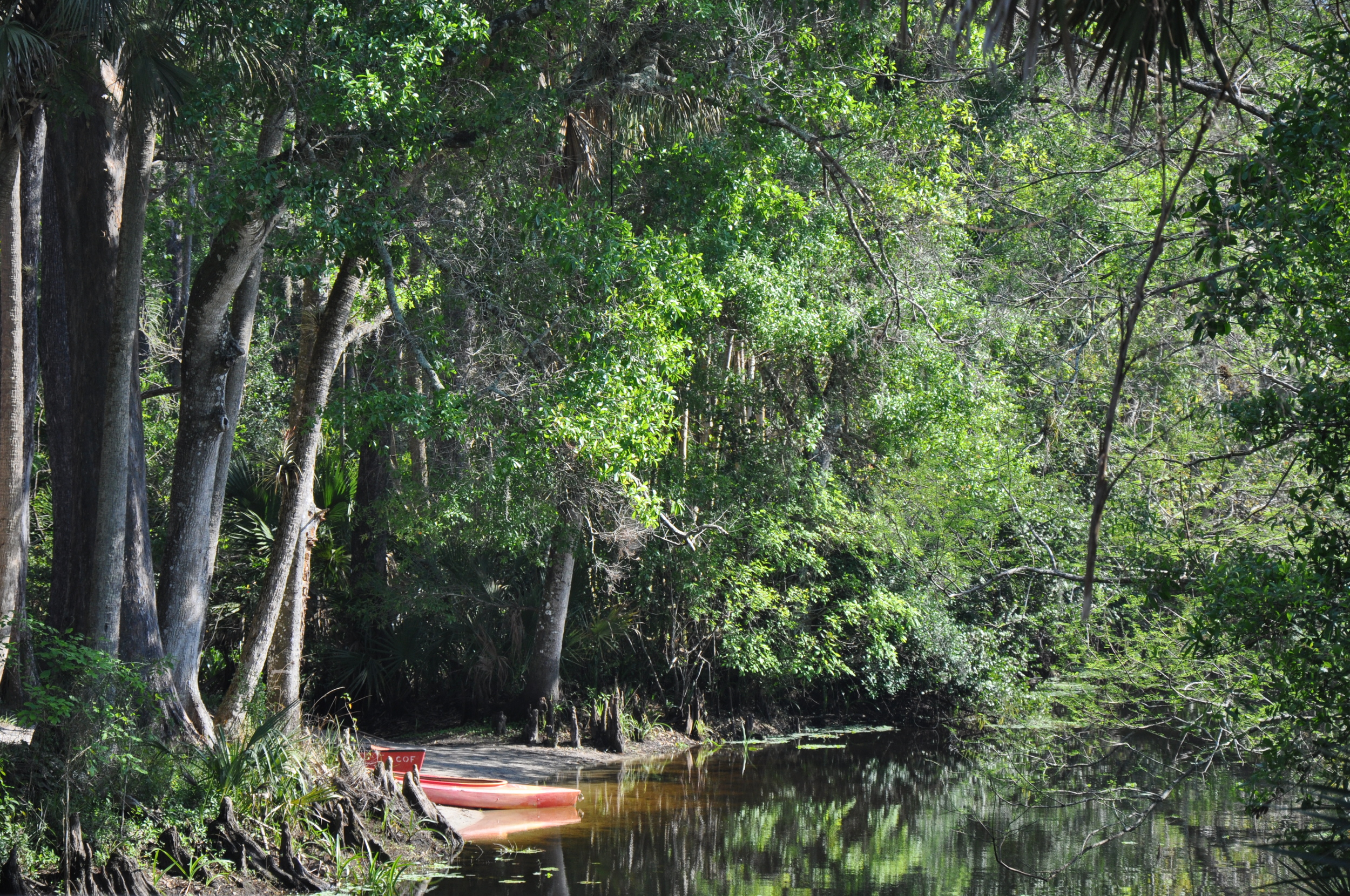 Riverbend Park Palm Beach County Kayak Canoe Launch.JPG