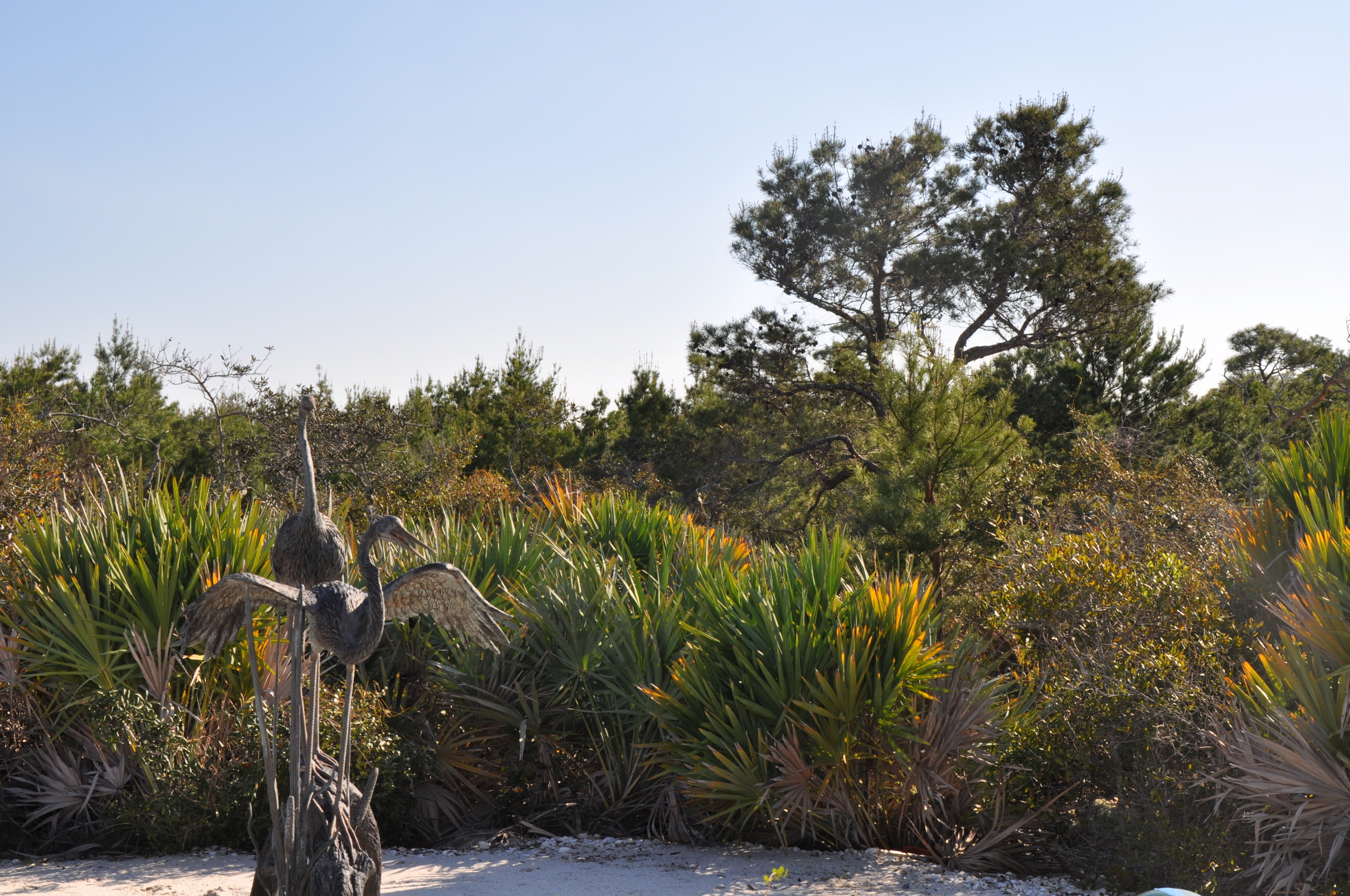 Tierra Del Sol Jupiter Florida Preserve Area Public Art.JPG