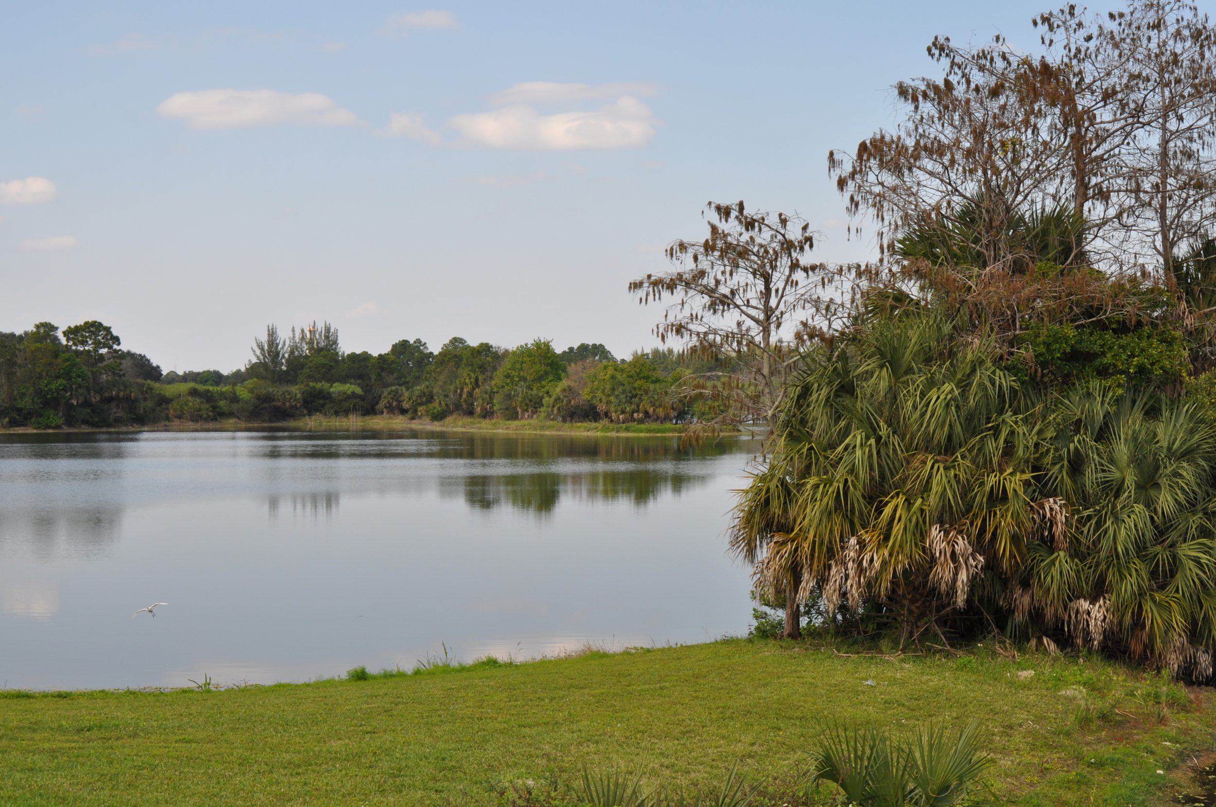 Dyer Landfill Reclamation Palm Beach County Florida Restored Areas.JPG