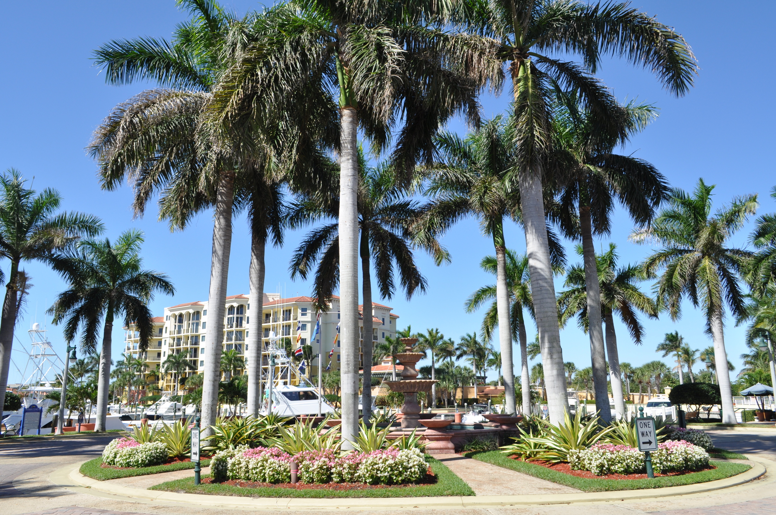 Jupiter Yacht Club Florida Entry Circle Annuals Royal Palms.JPG