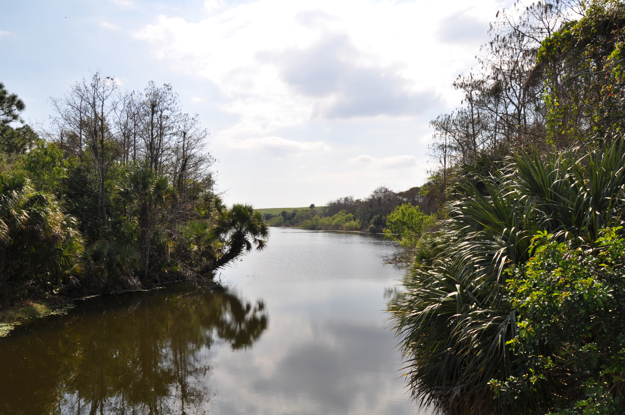 Dyer Landfill Reclamation Palm Beach County Florida Restored Waterway.JPG