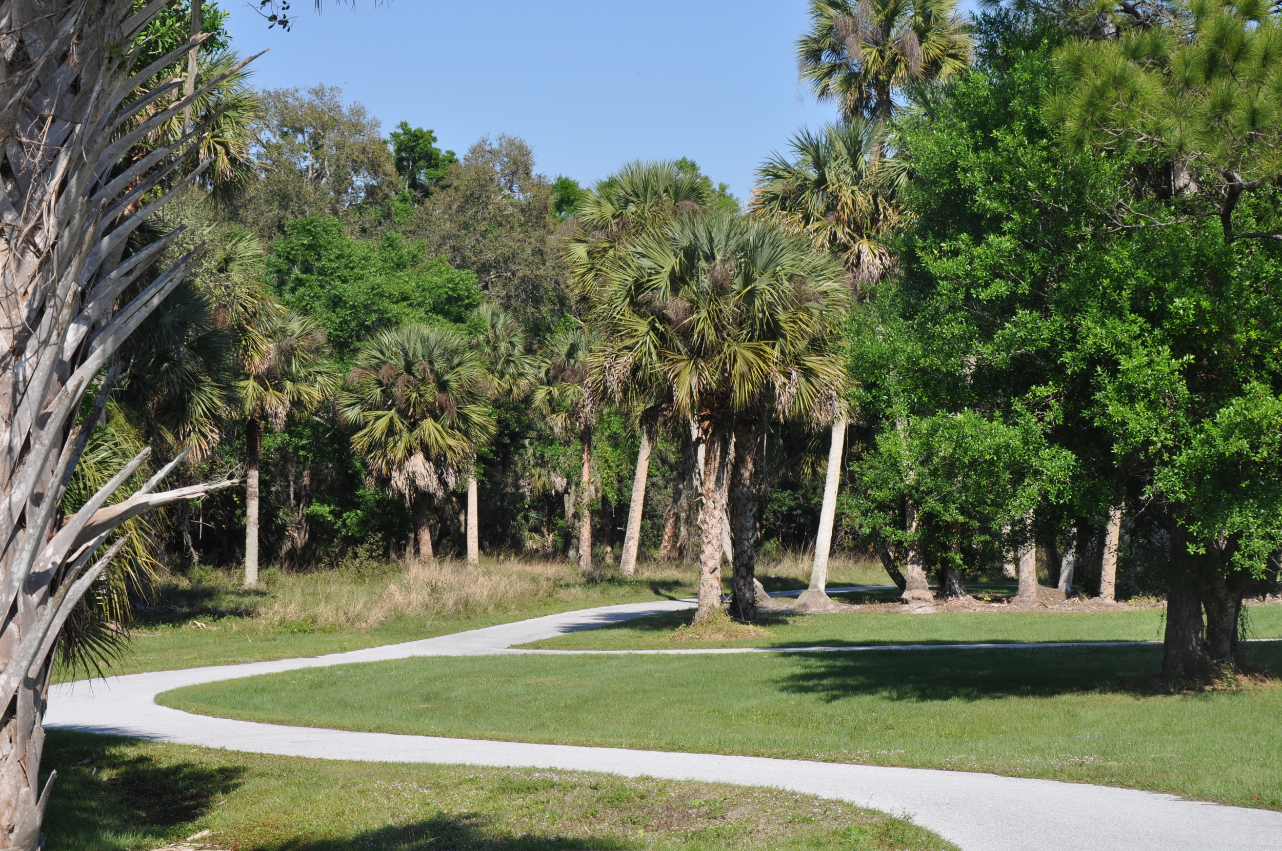 Riverbend Park Palm Beach County Multi-Use Trails.JPG