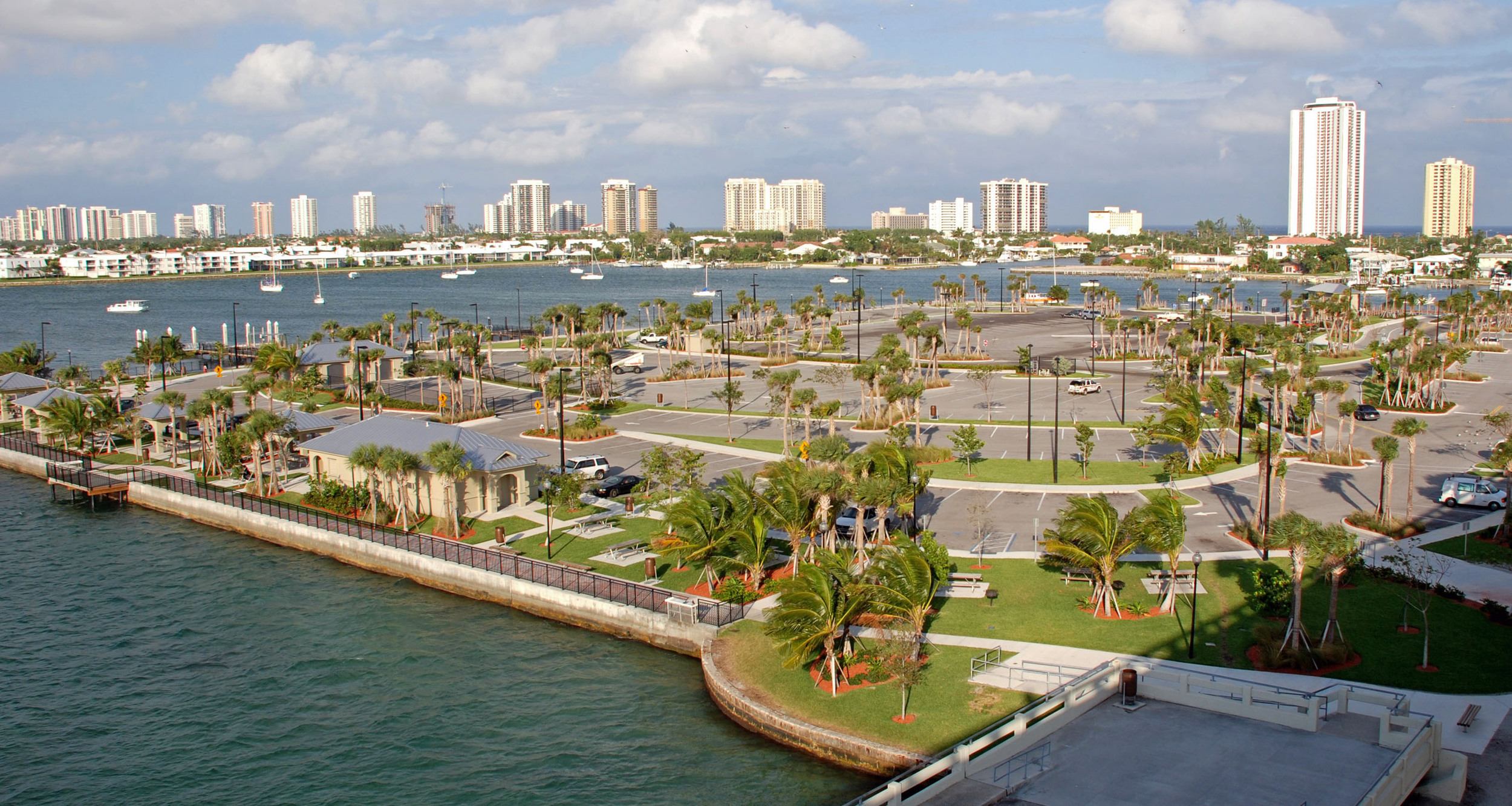 Phil Foster Park Palm Beach County Florida Coconut Palms.JPG