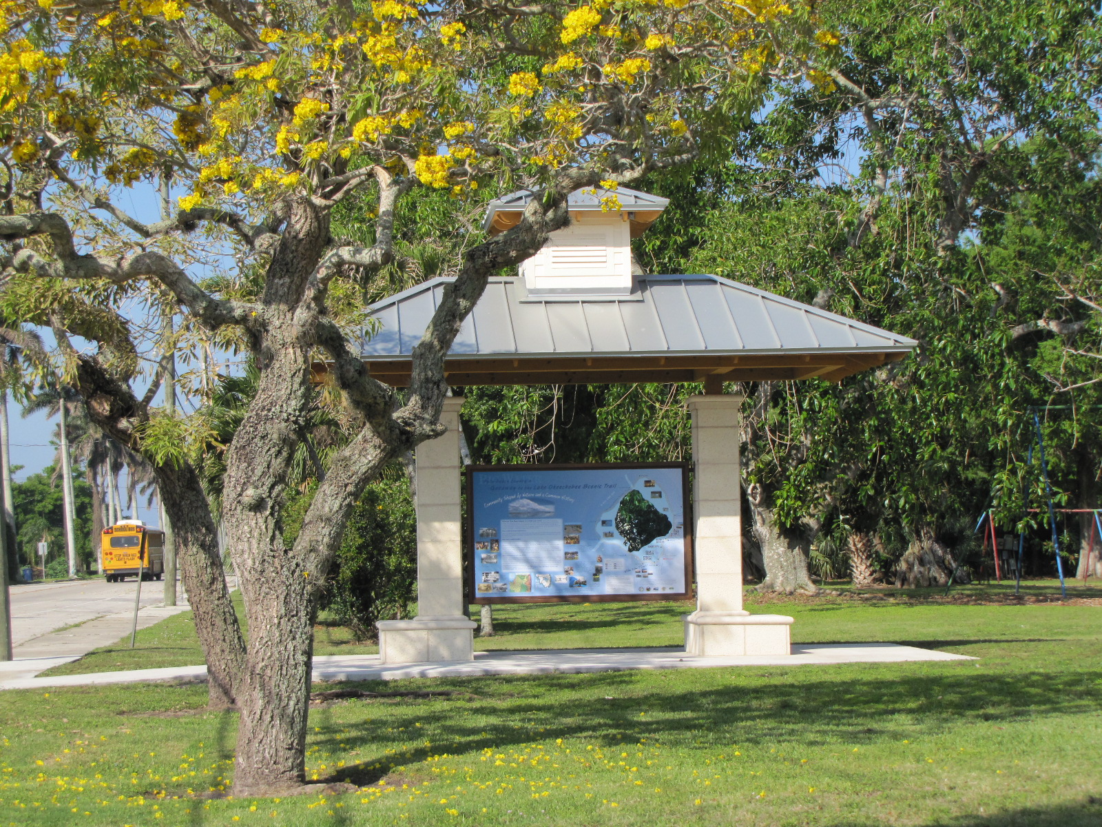 Lake Okeechobbe Senic Trail Econimic Development Pahokee Kiosk Yellow Tabebuia.jpg