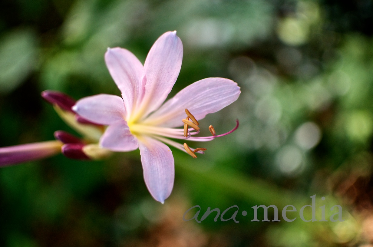 DSC_1587.jpg