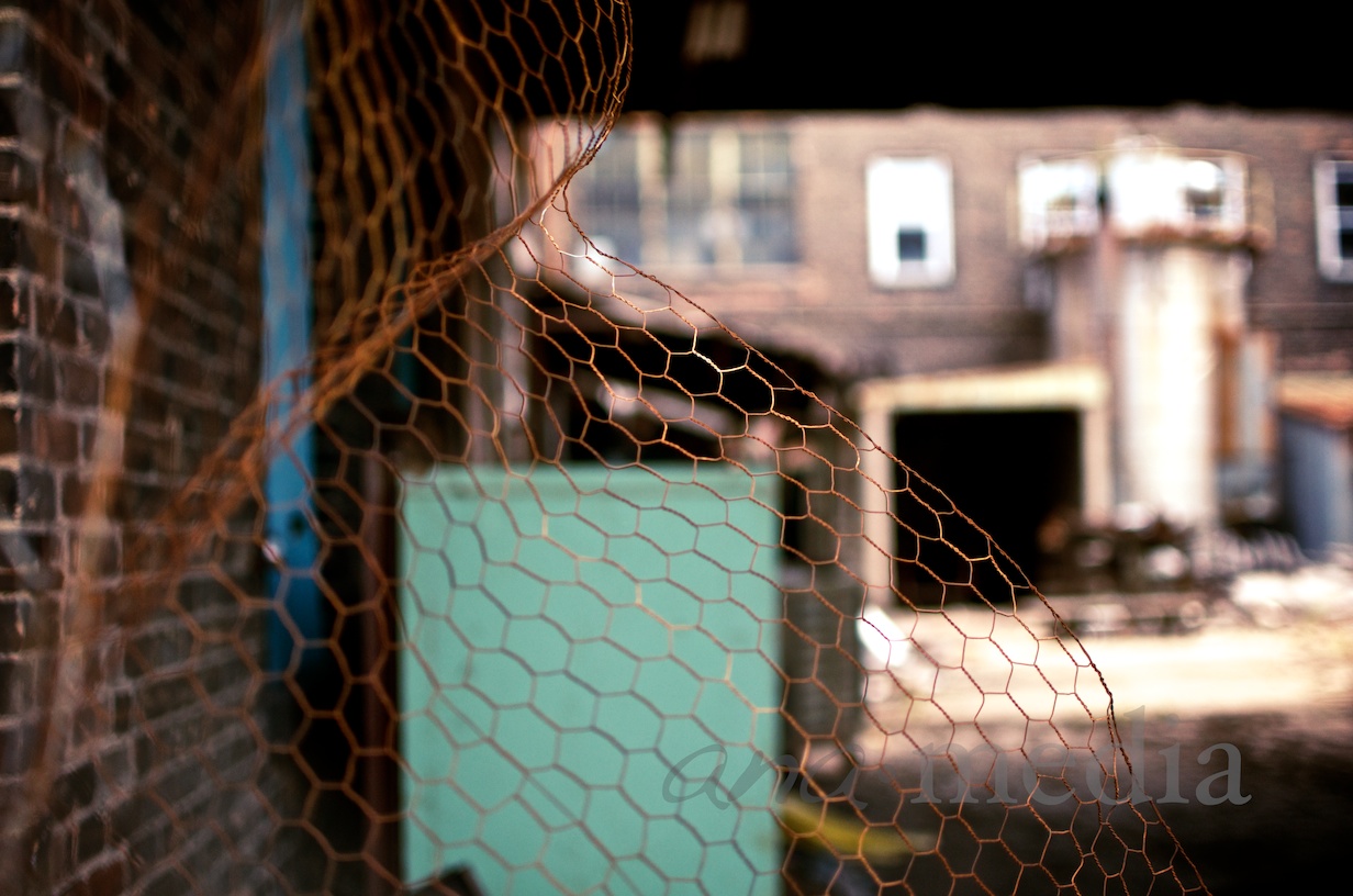 DSC_1719.jpg
