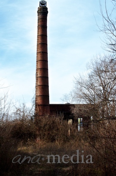 Davis Street Ruins 12352.jpg
