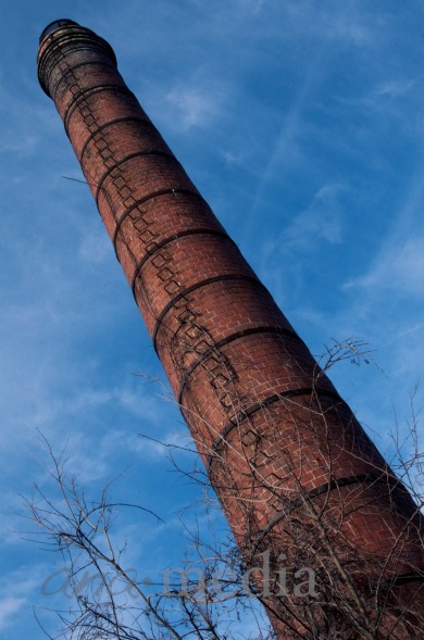 Davis Street Ruins 12433.jpg