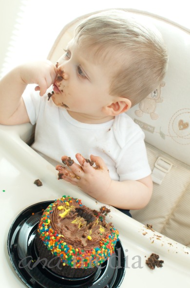 Miller's 1st Birthday 16159.jpg