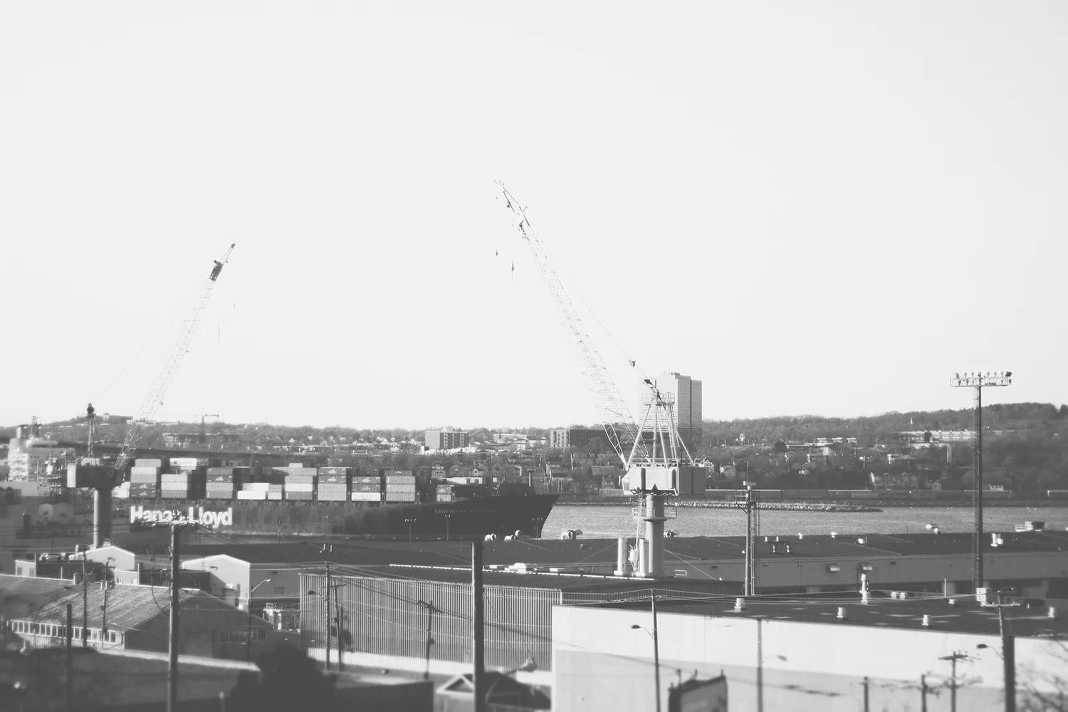 IMG_3311-bw-sm.jpg