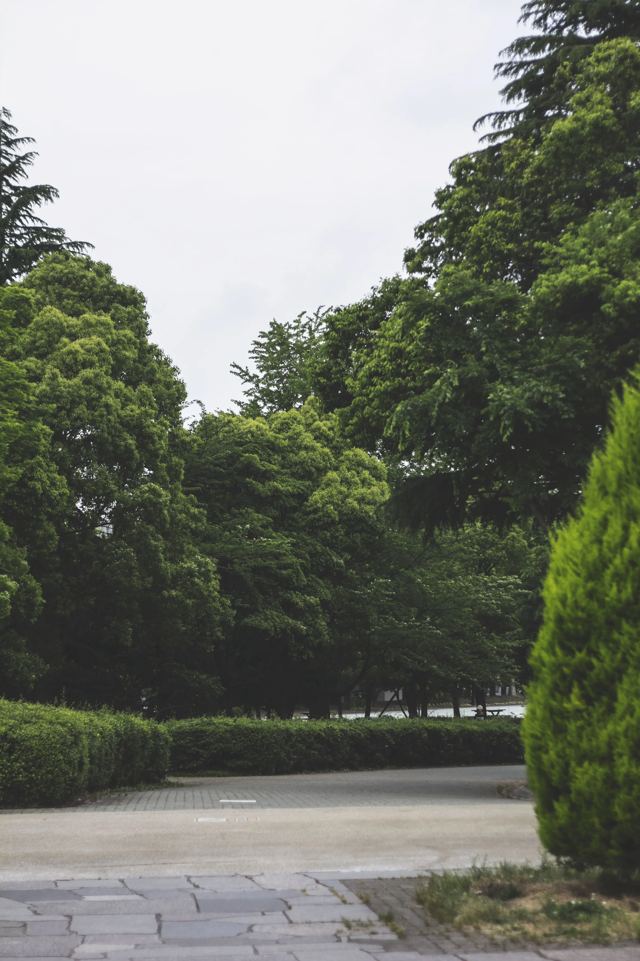 Kiba Park