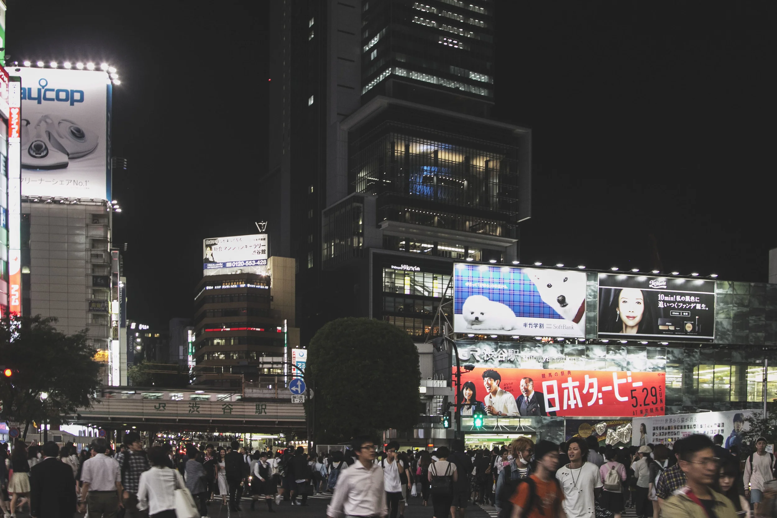 Shibuya Crossing
