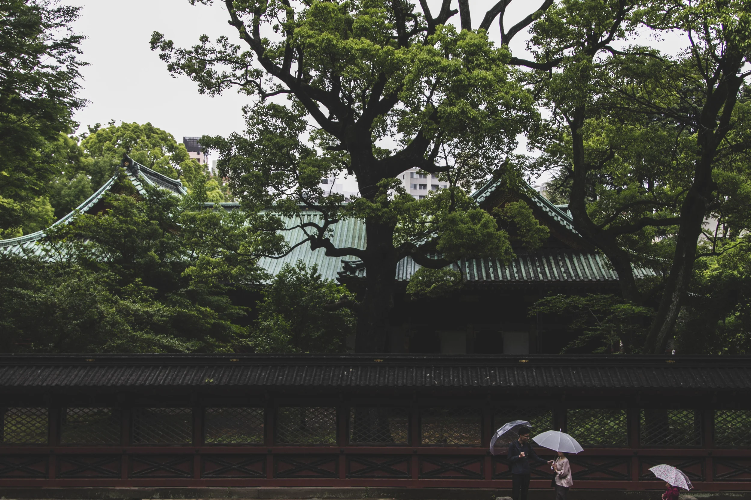 Nezu Shrine