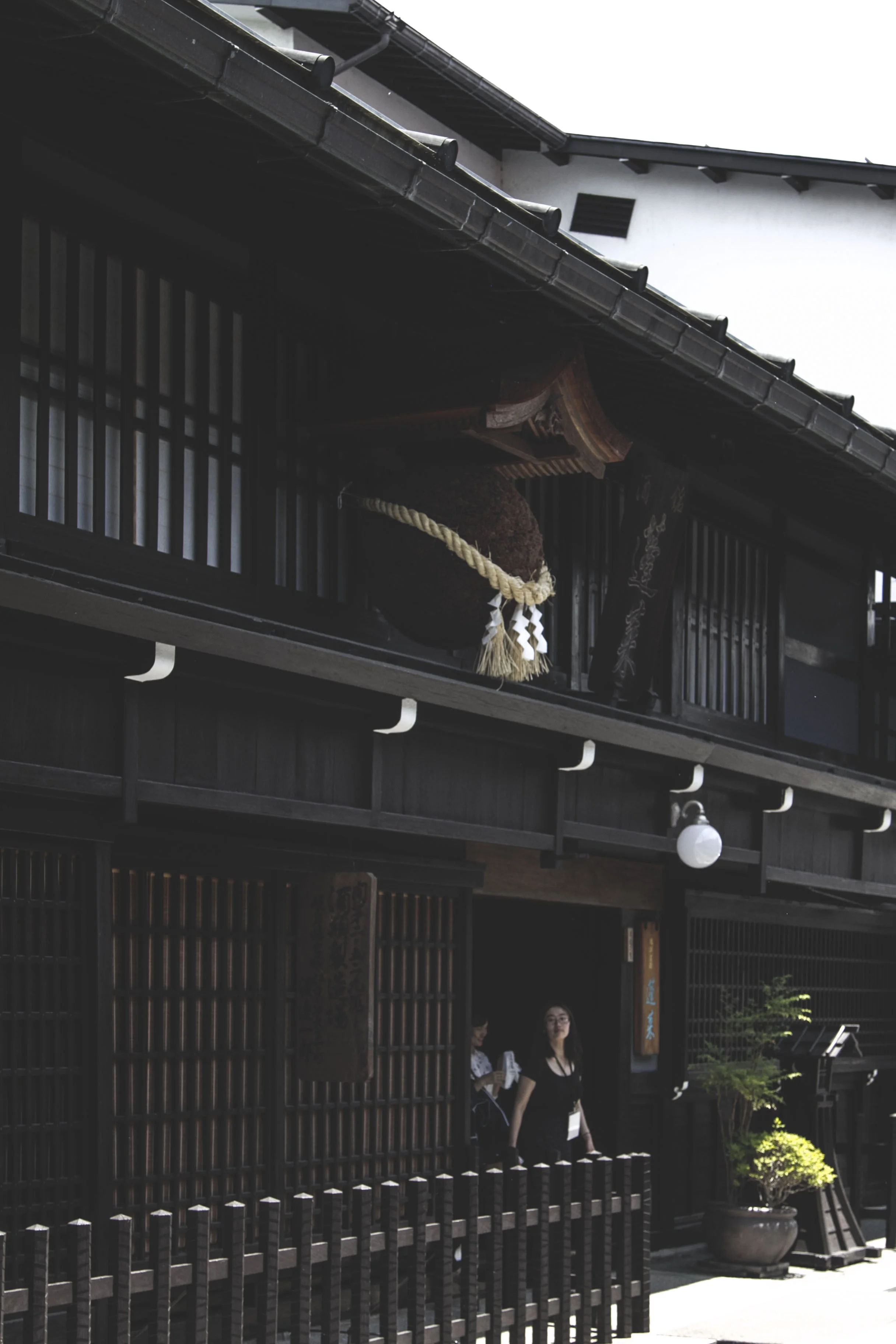 Sake brewery with cedar ball. 
