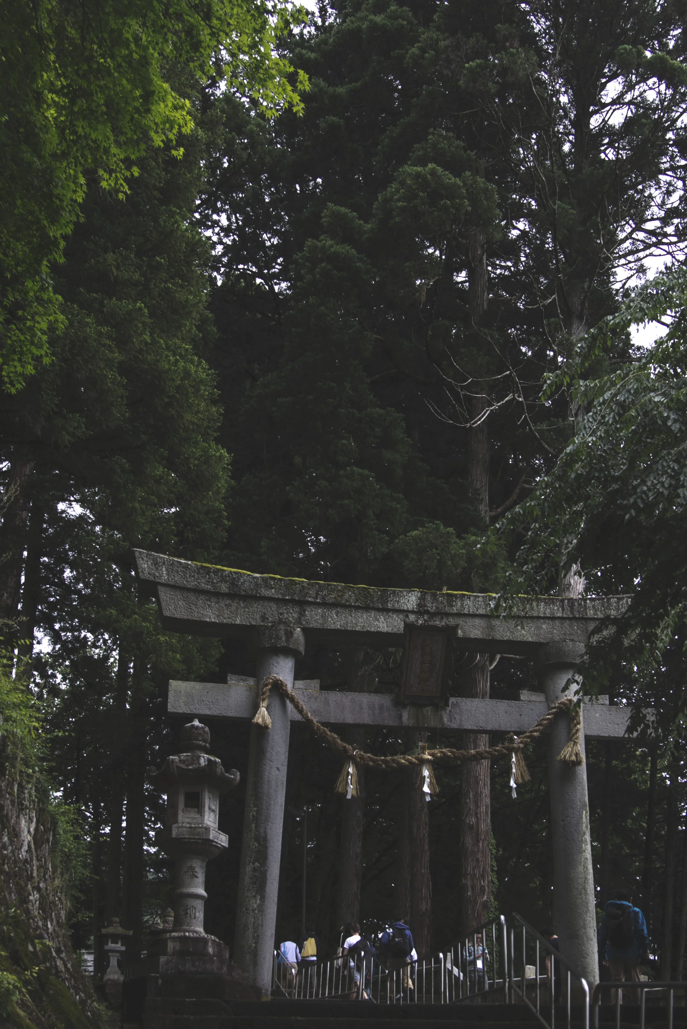 Ascending to the shrine. 