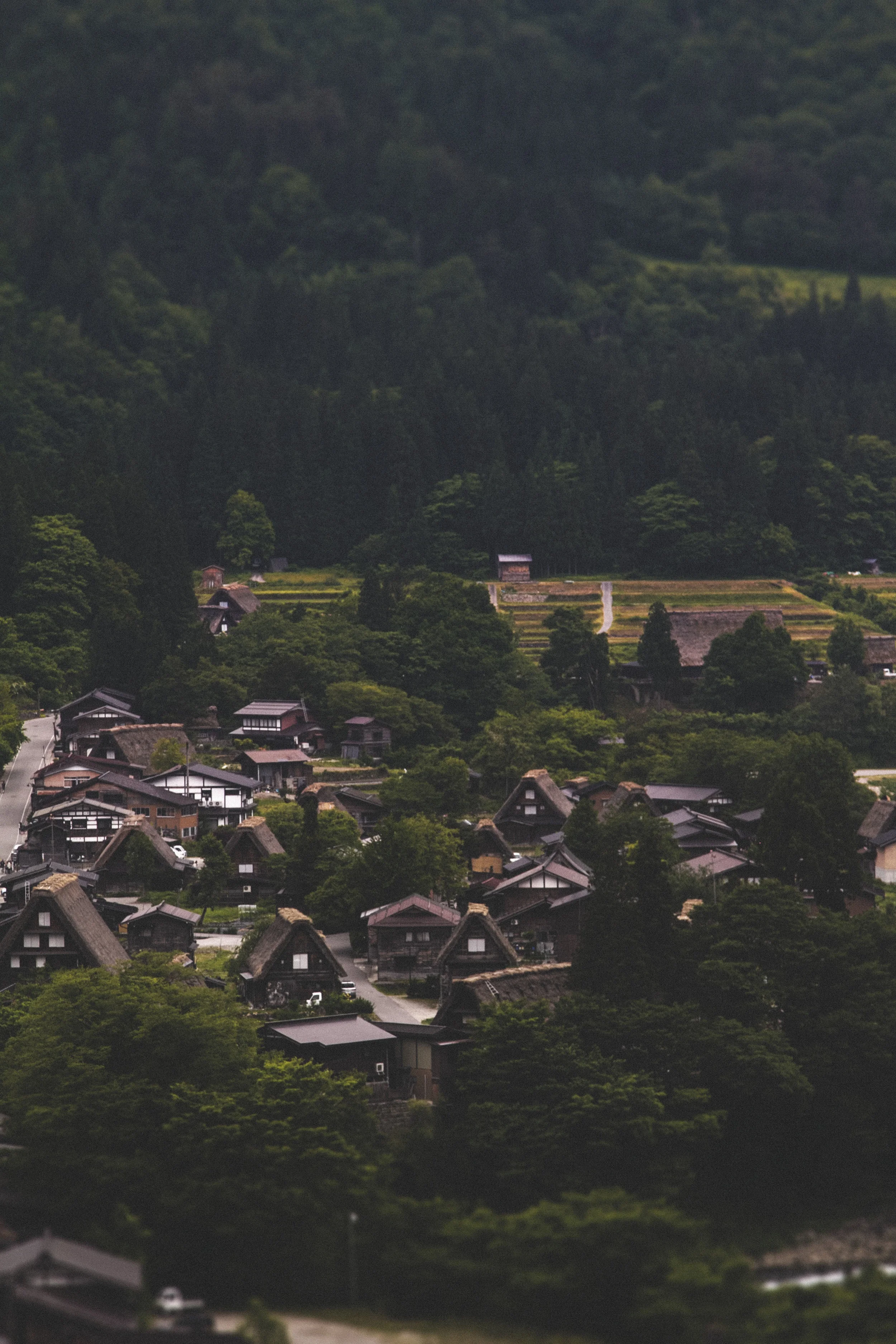 View from the observation hill. 