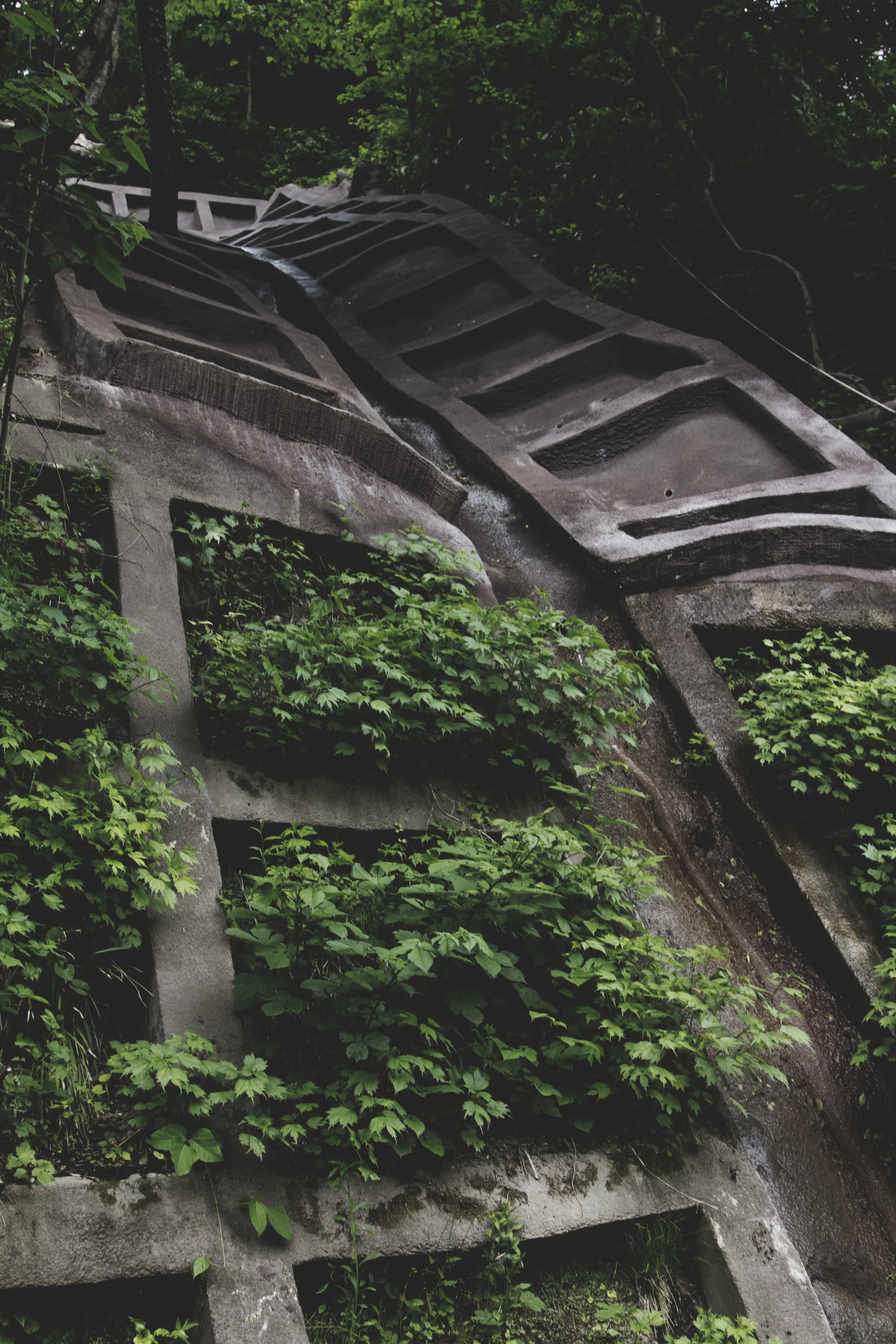 These are concrete topography reinforcements that are very common in Japan. There was a path next to one to get down from the observation hill. This one has an open grid so it is able to be grown into. 