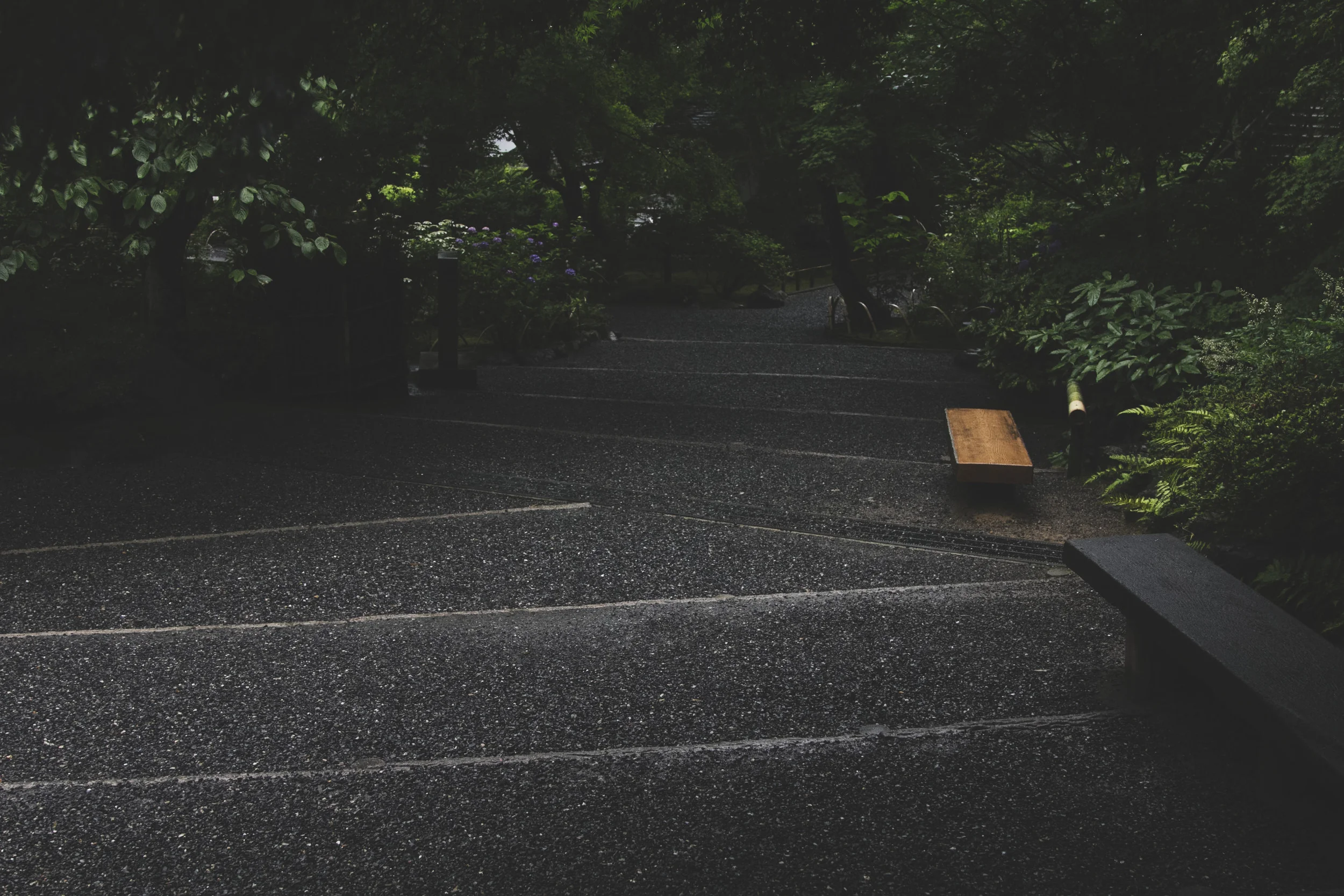 Tenryu-ji Garden