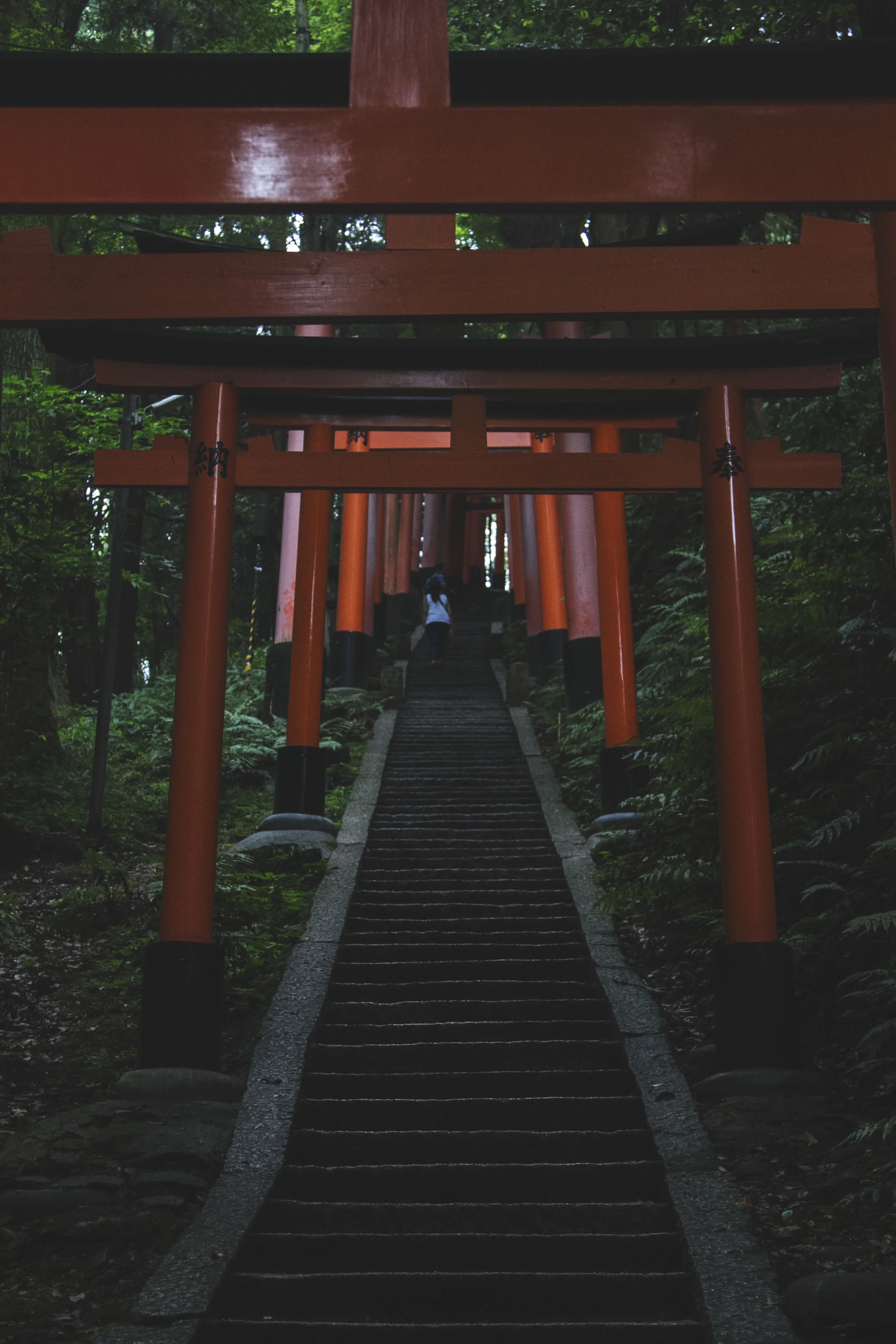 So. Many. Stairs. 