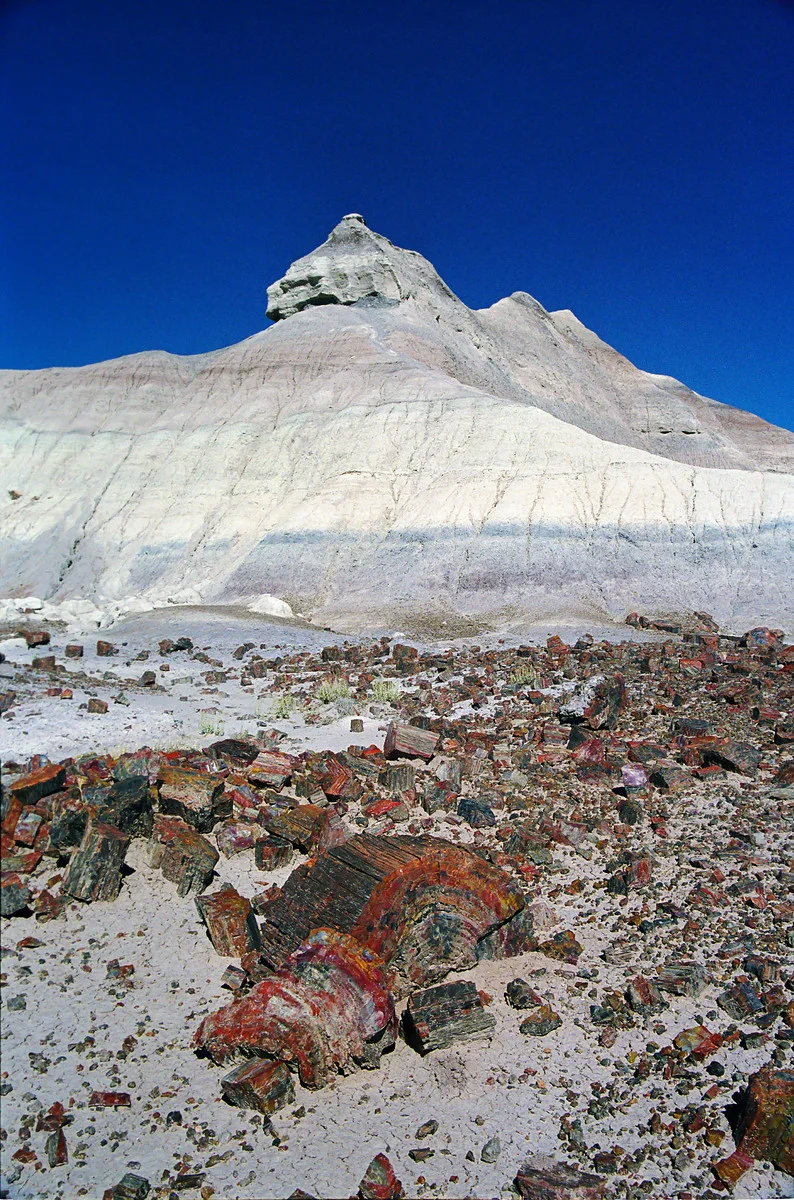1997_Petrified Forest, Arizona