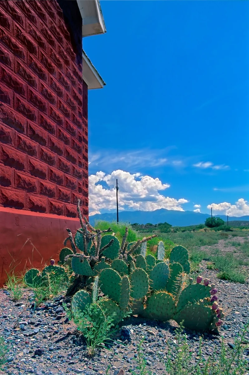 1998_Cactus-School_Hwy 54-NM