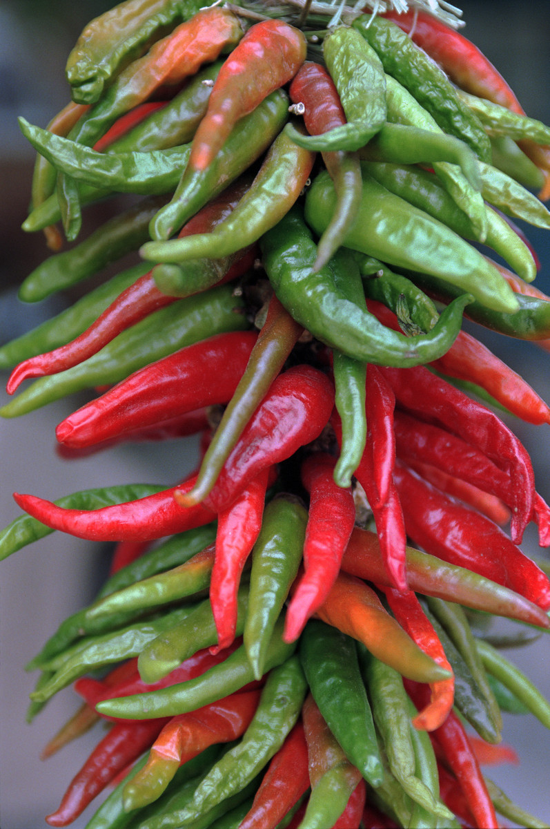 1999_Chili Peppers-Chimayo, Nm