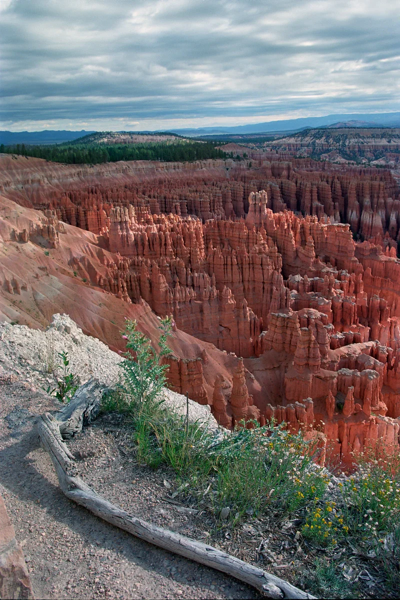 1999_Inspiration Point-(1), Bryce Canyon, Ut