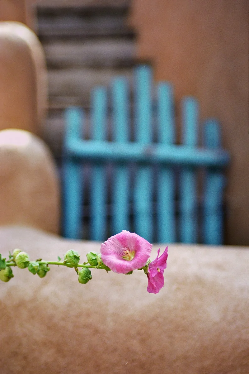 2001_Garden Solitude-Taos, Nm