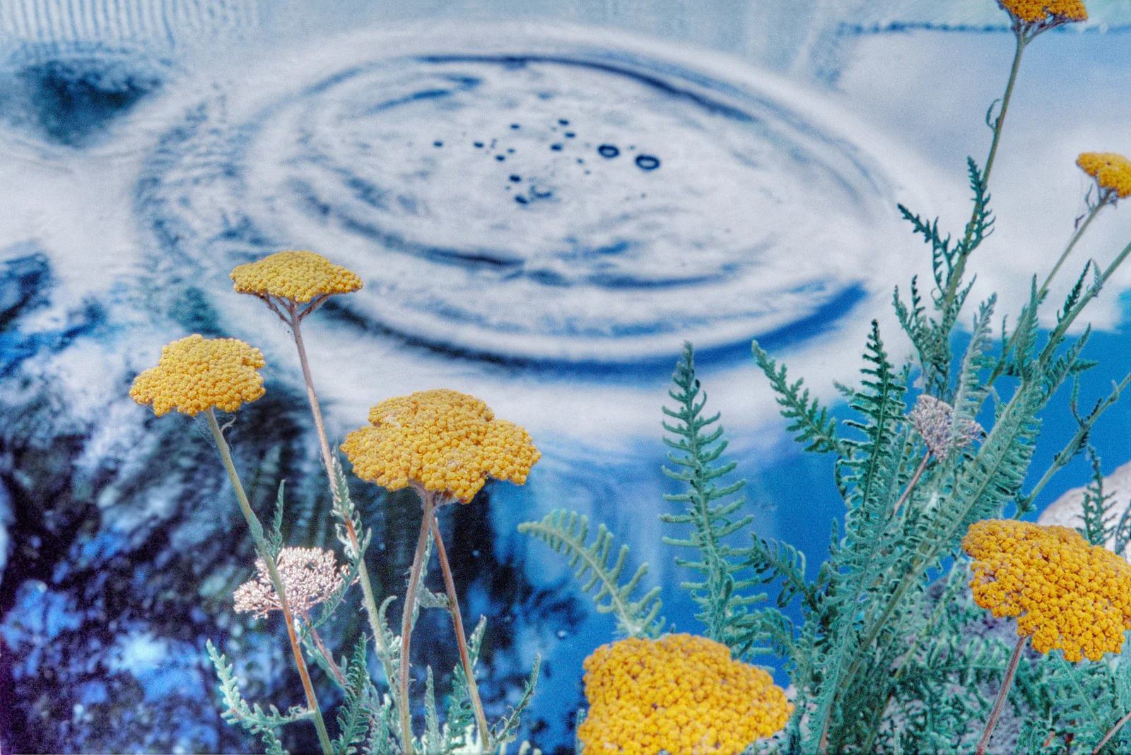 2003_Stream-La Cueva Mill; Nm