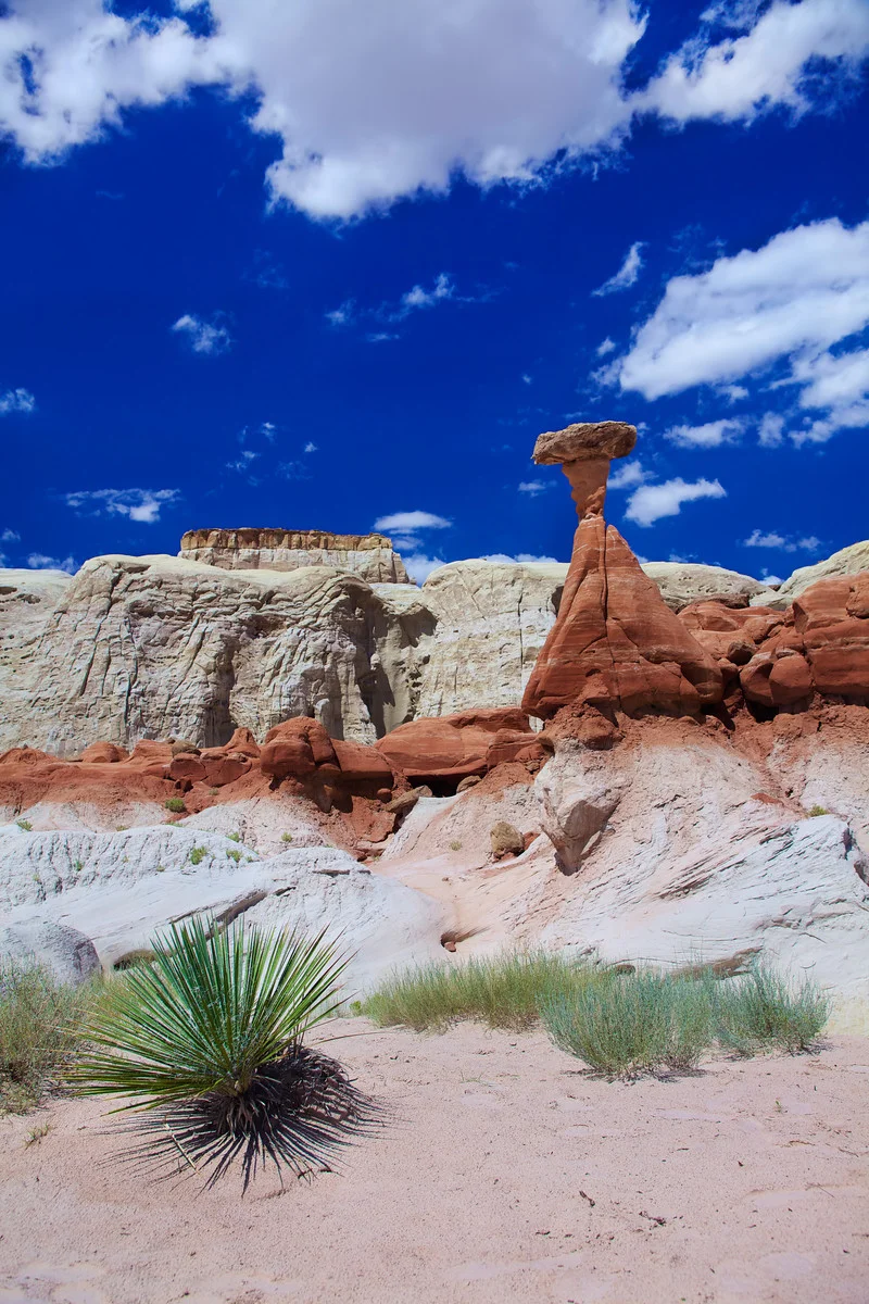2010_The Toadstools-off Hwy 89, Ut