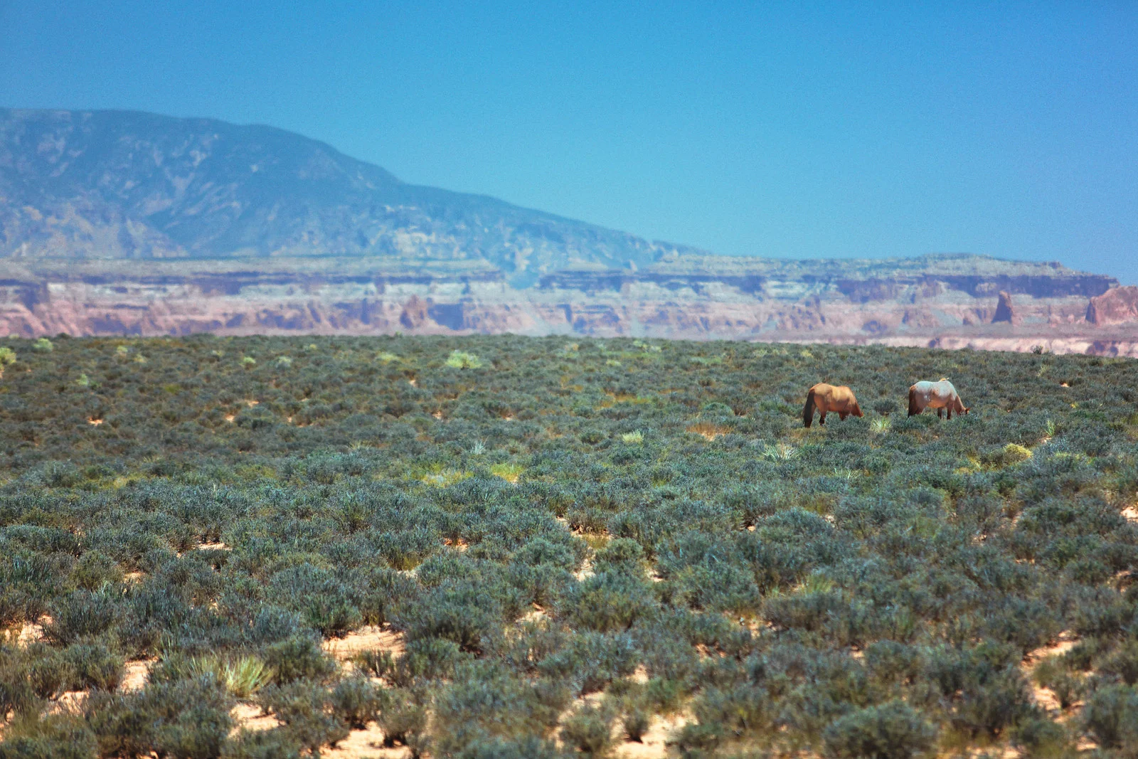 2013_Highway 98 east of Page, Ut