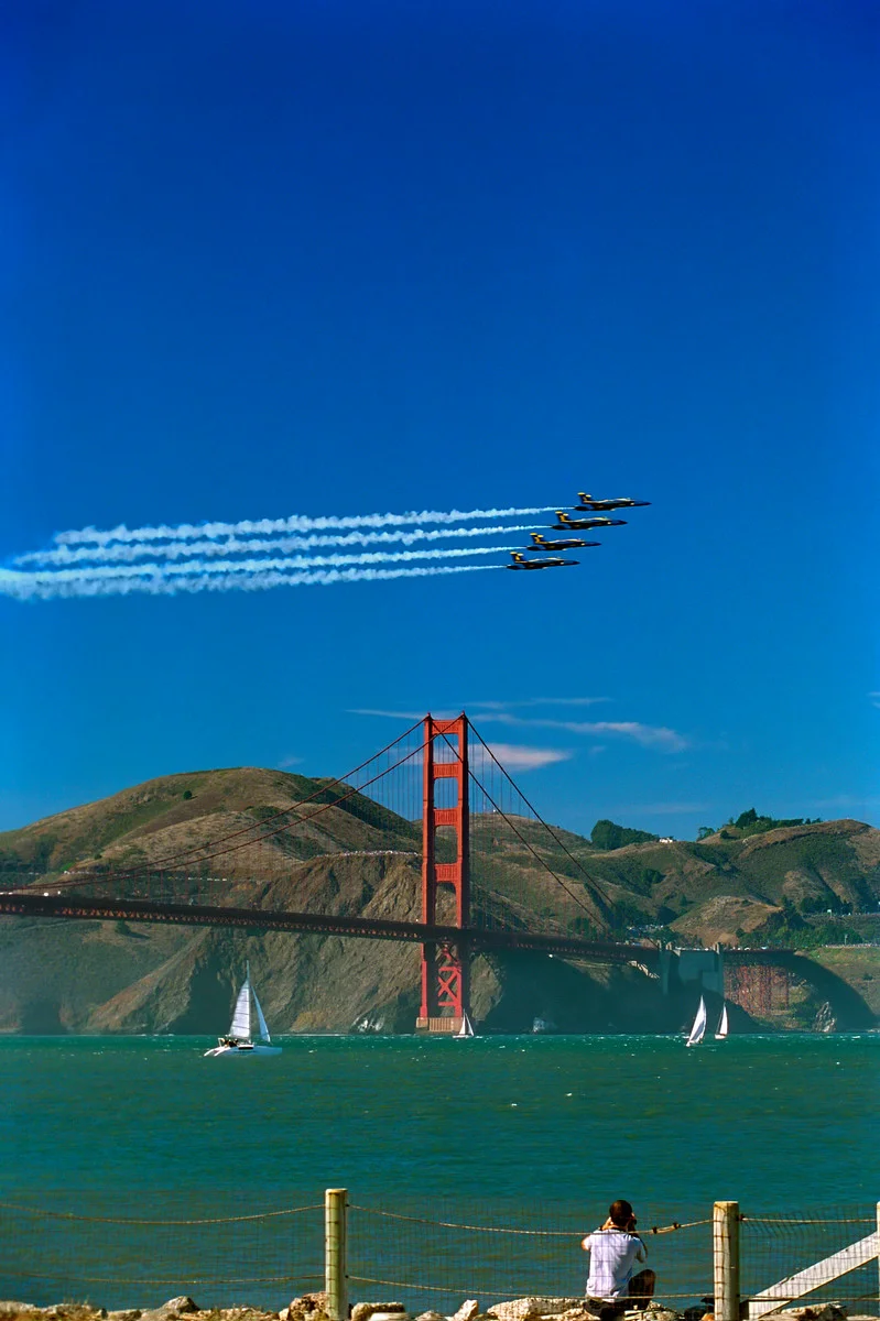      

 
  taken from Crissy Fields
 






















     