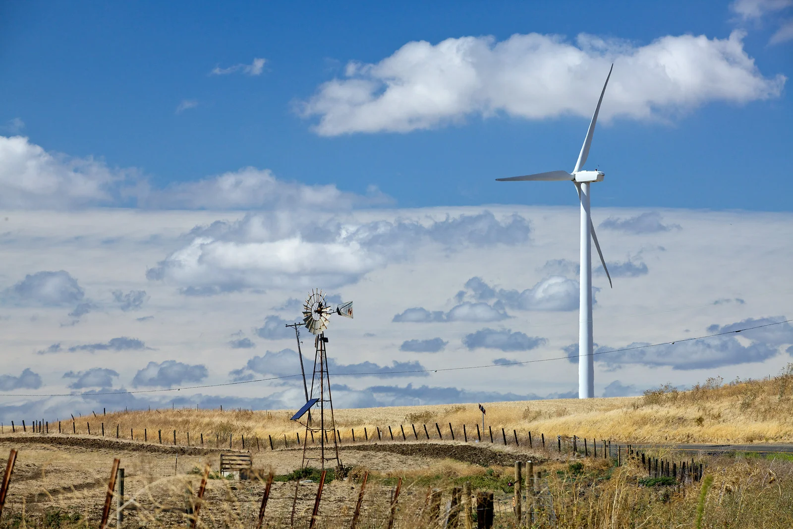      

 
  Shiloh Road north of Bird's Landing Preserve
 






















     