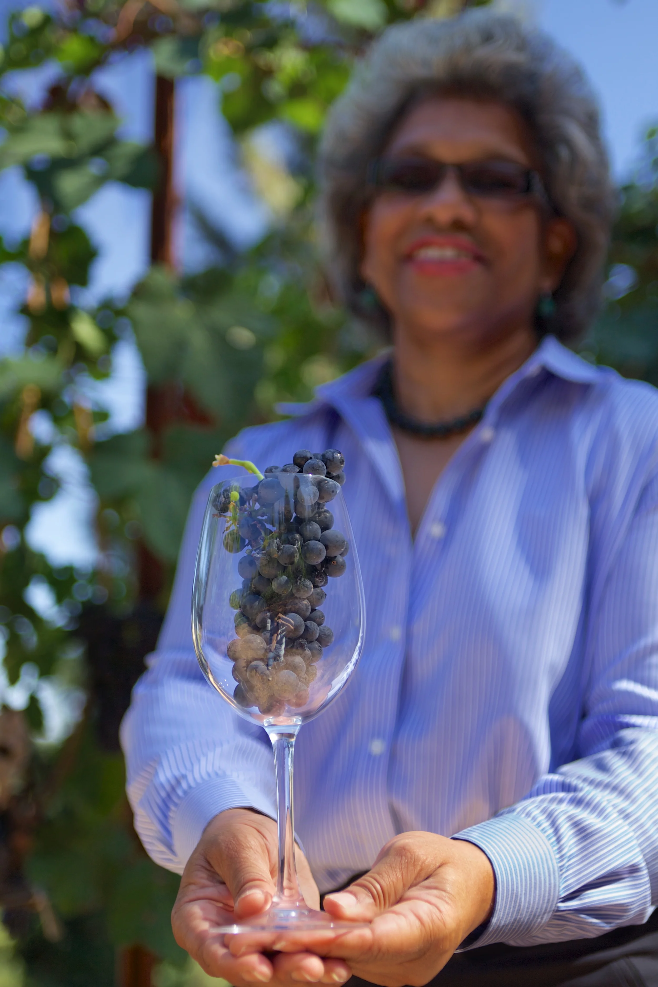 2013_Theopolis Vineyards 7.jpg