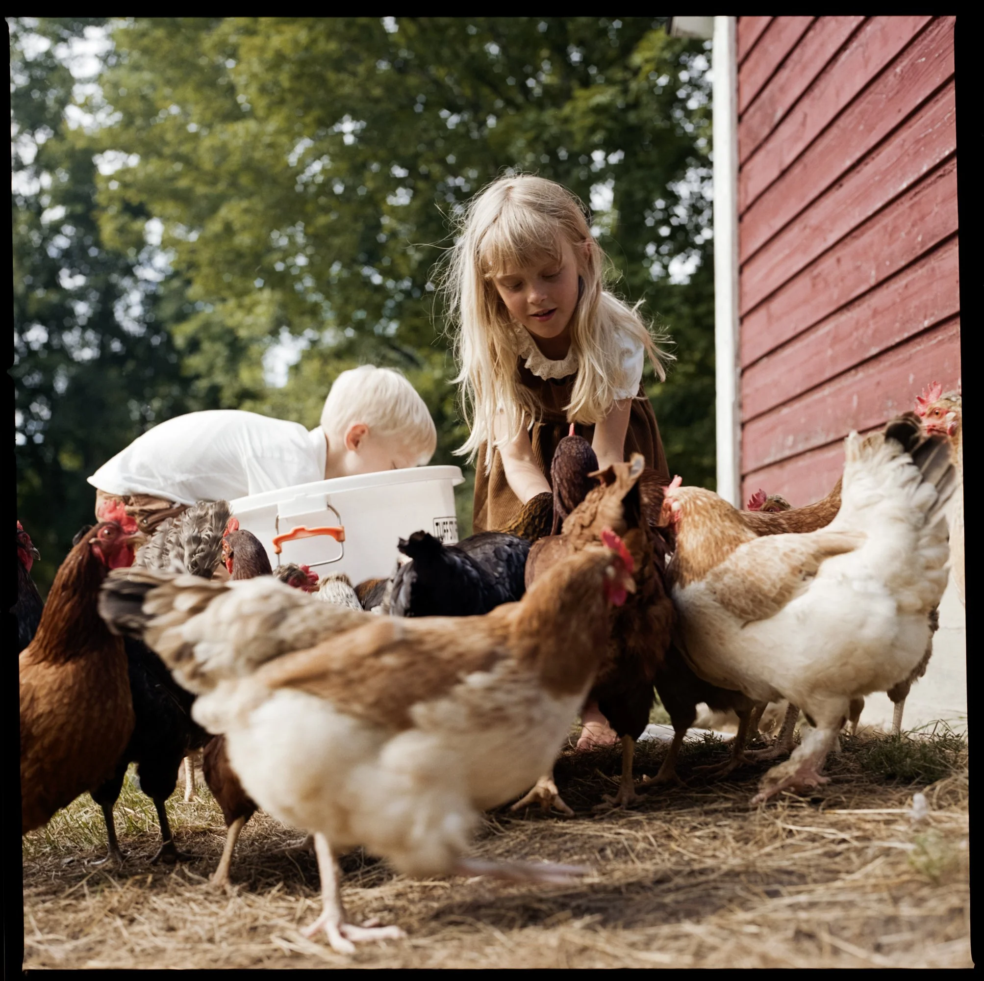 McKerrowFarms2026_Film_JG_0206_LR.jpg