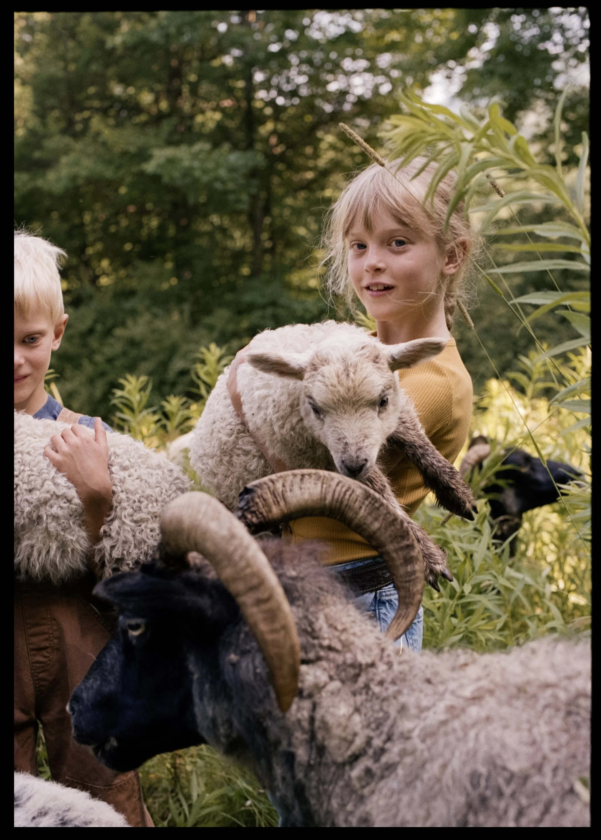 McKerrowFarms2026_Film_JG_701_LR.jpg