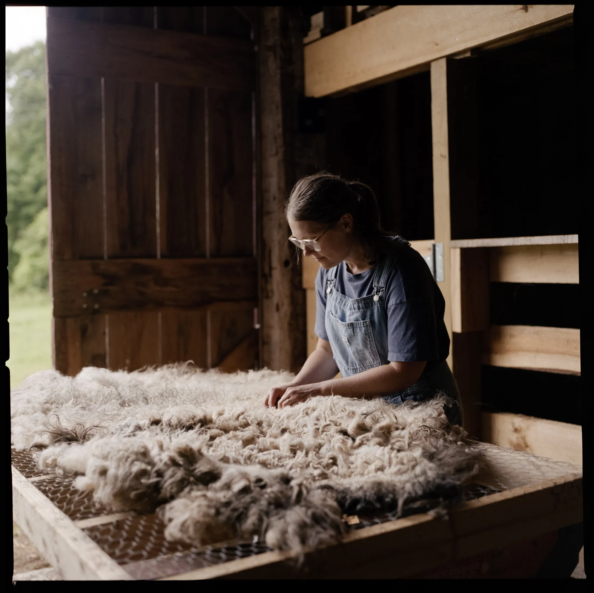 McKerrowFarms2026_Film_JG_025_LR.jpg