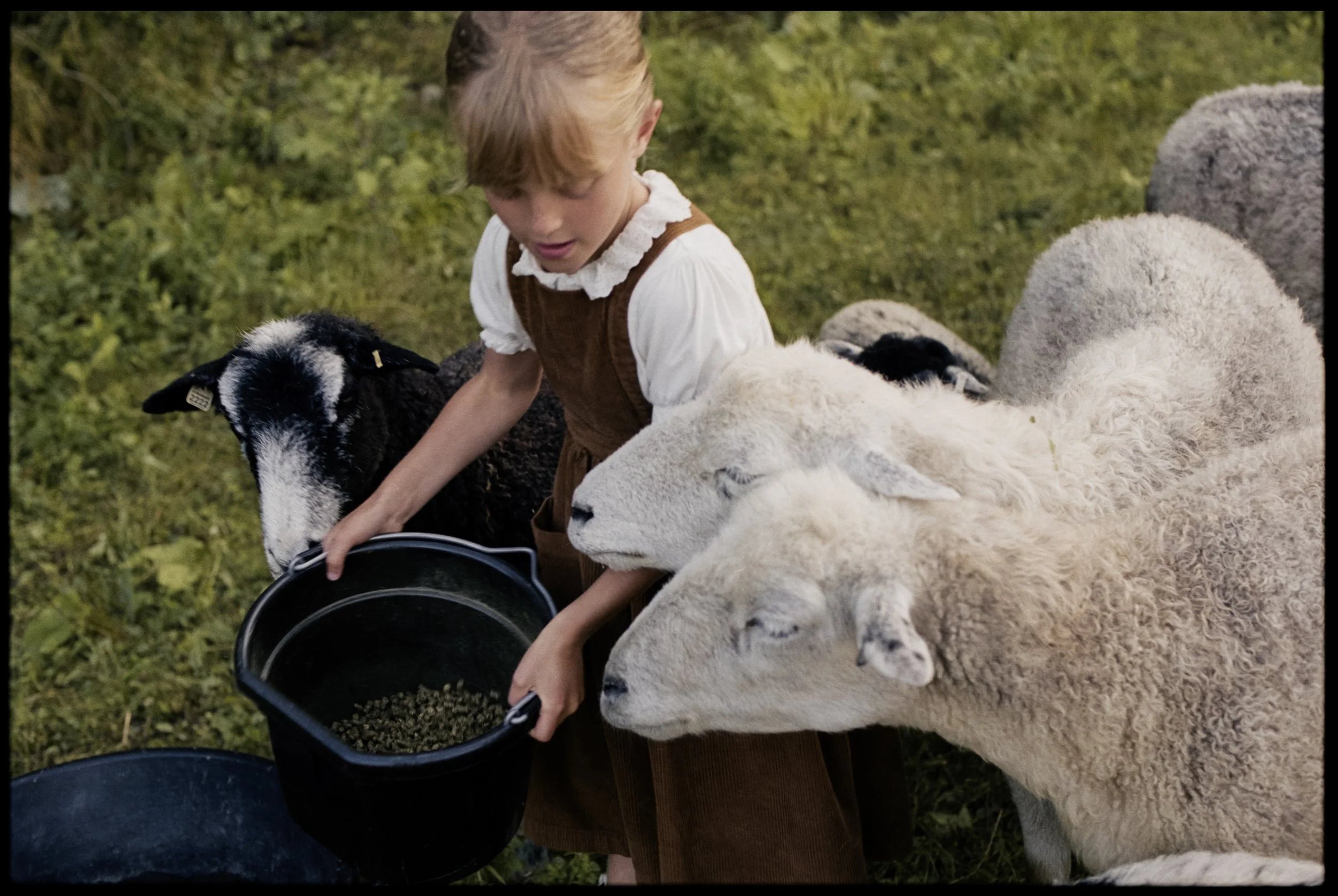 McKerrowFarms2026_Film_JG_657_LR.jpg