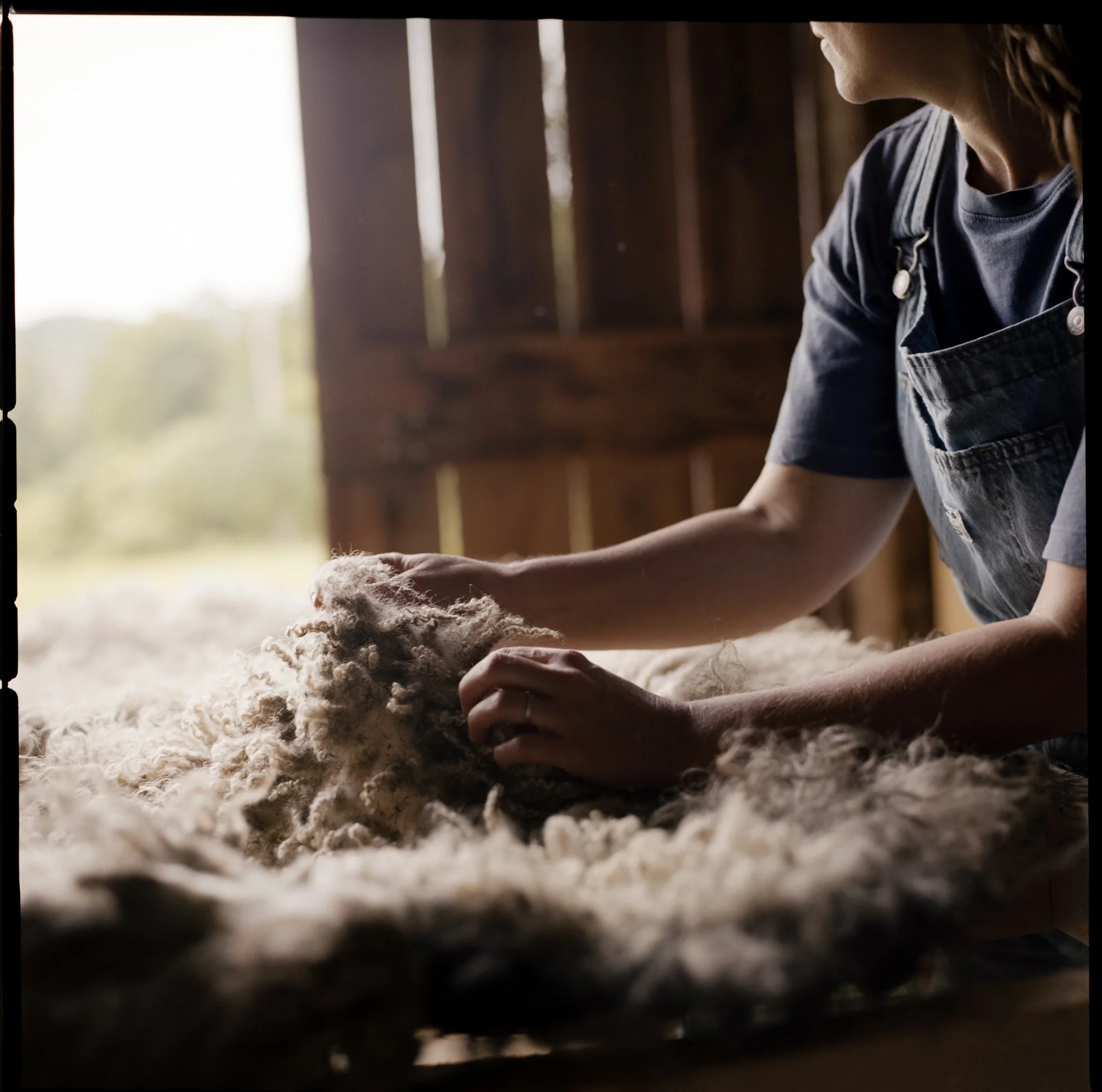 McKerrowFarms2026_Film_JG_0271_LR.jpg