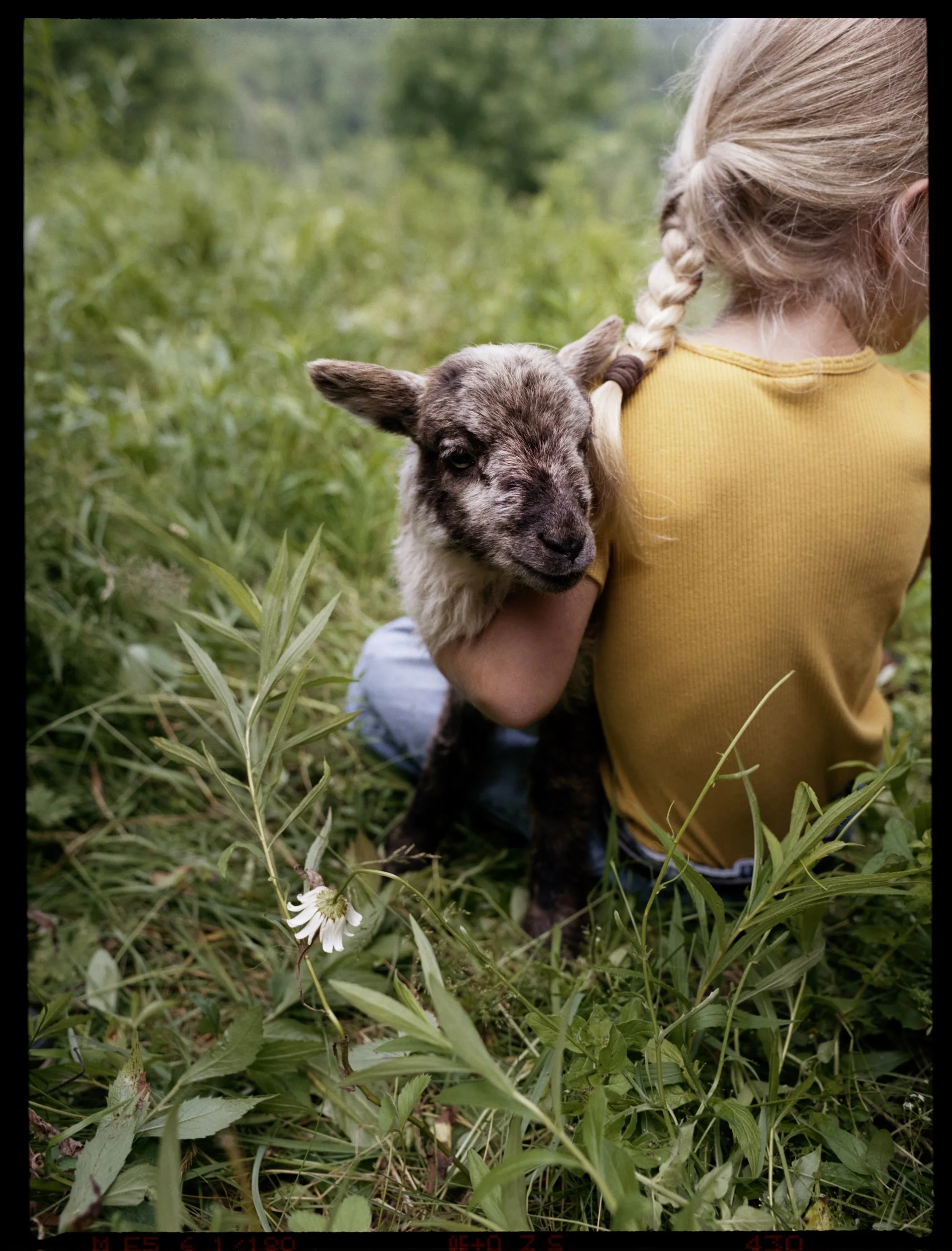 McKerrowFarms2026_Film_JG_071_LR.jpg