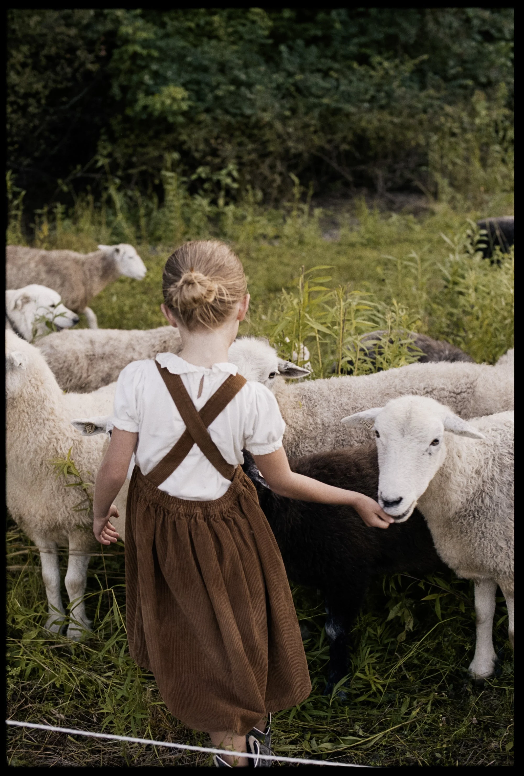McKerrowFarms2026_Film_JG_649_LR.jpg